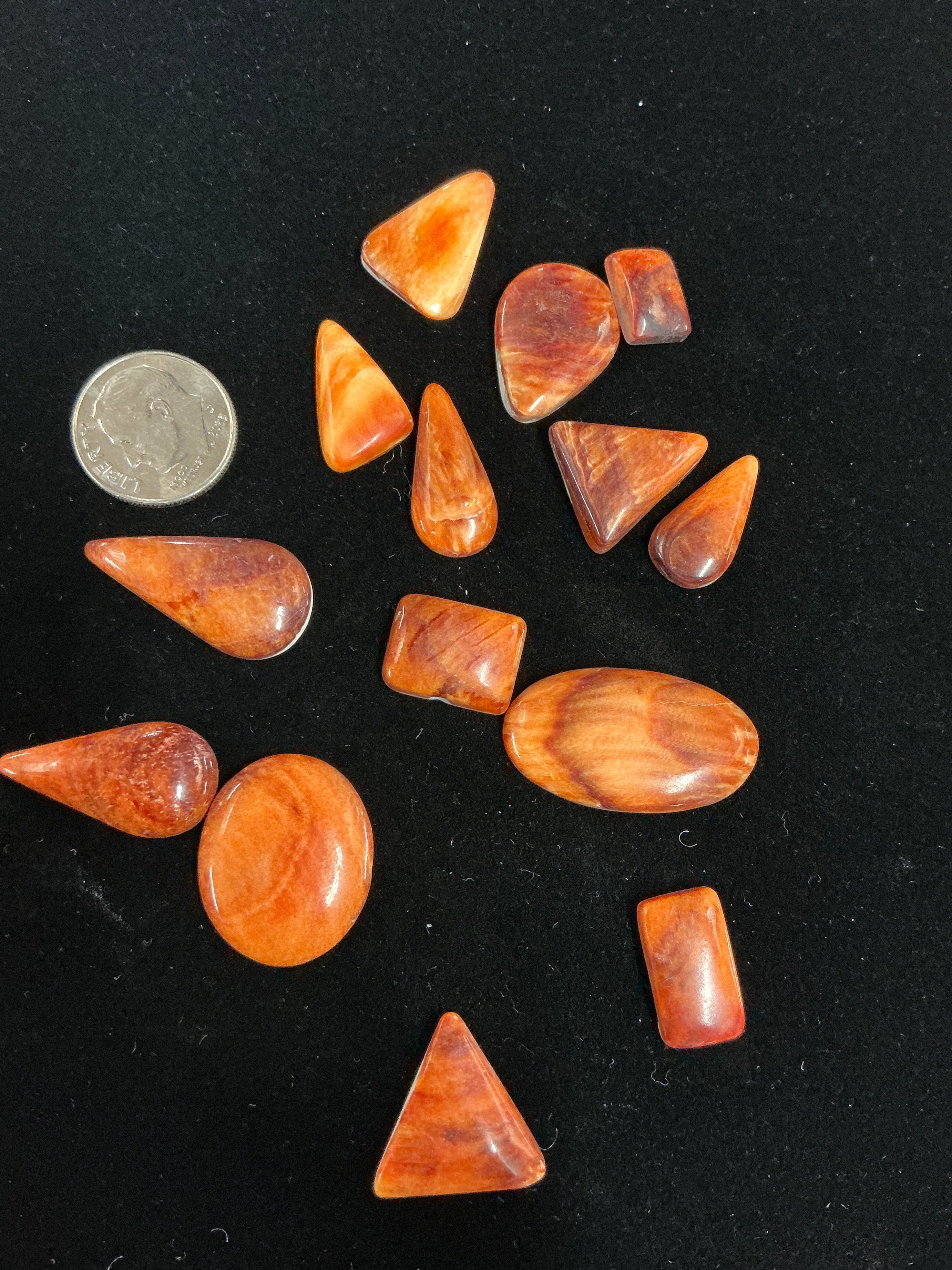 100 CARATS SPINY CABOCHONS LOT. LOT 10. $75.00