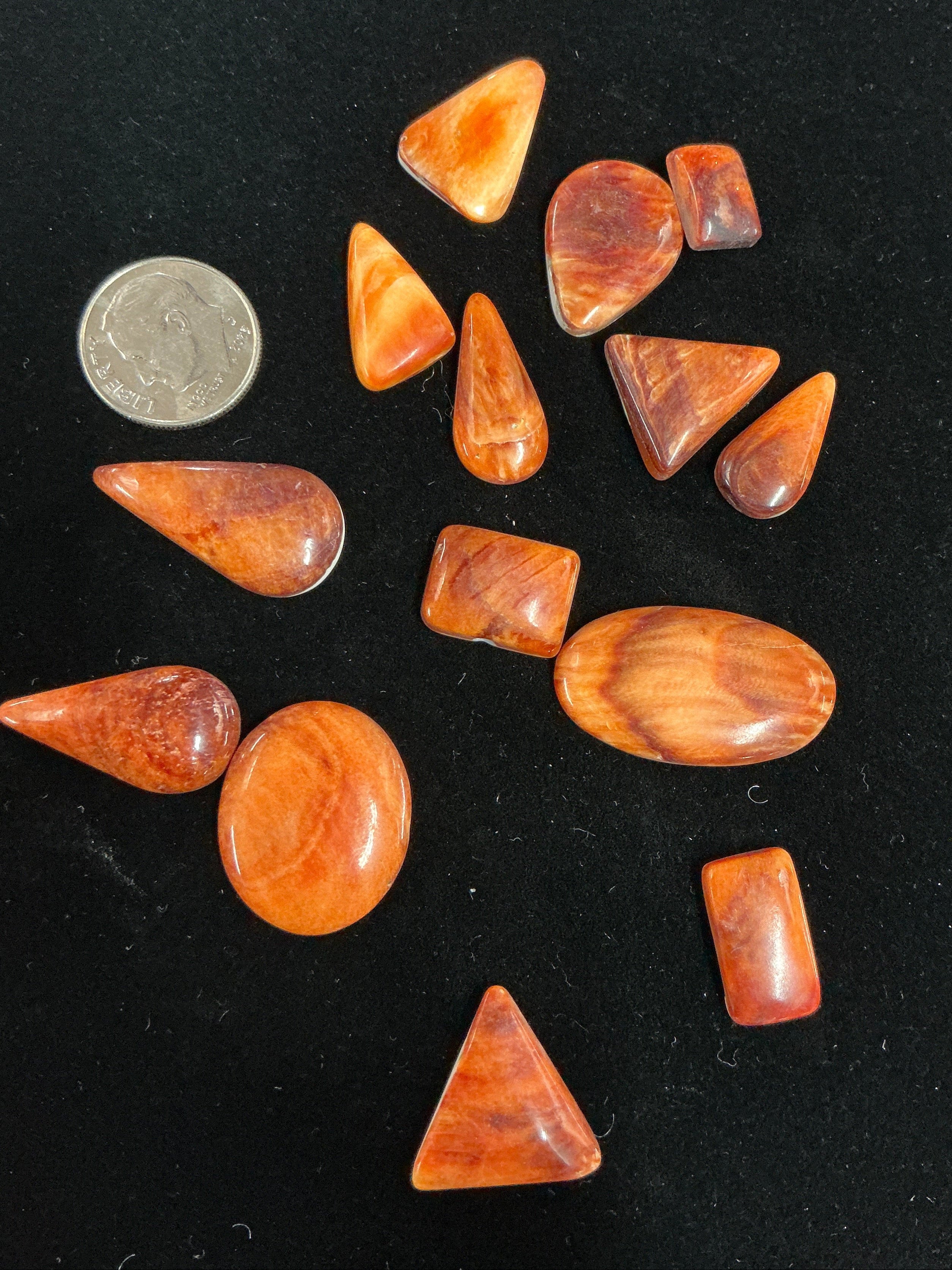 100 CARATS SPINY CABOCHONS LOT. LOT 10. $75.00