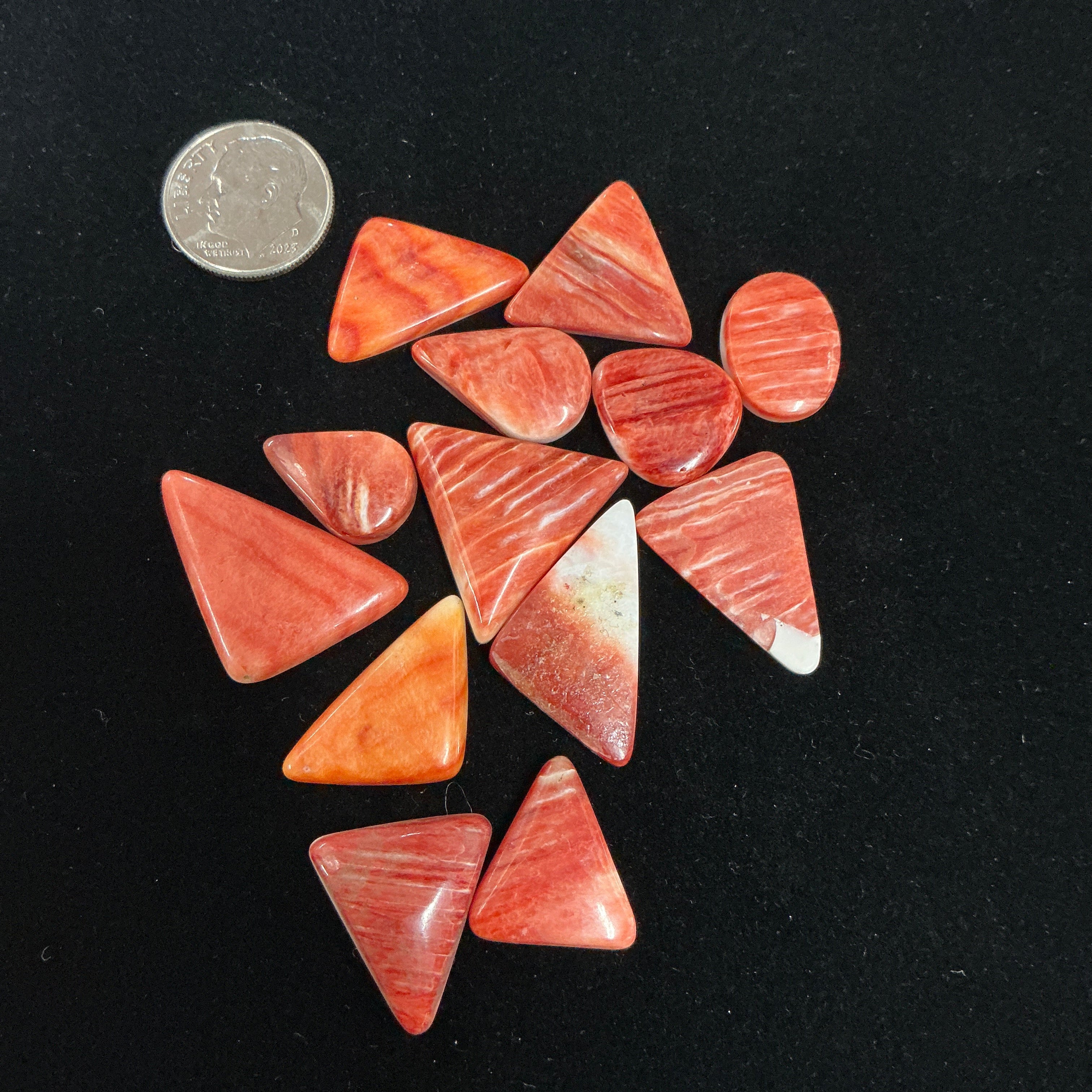 100 CARATS SPINY CABOCHONS LOT. LOT 11. $75.00