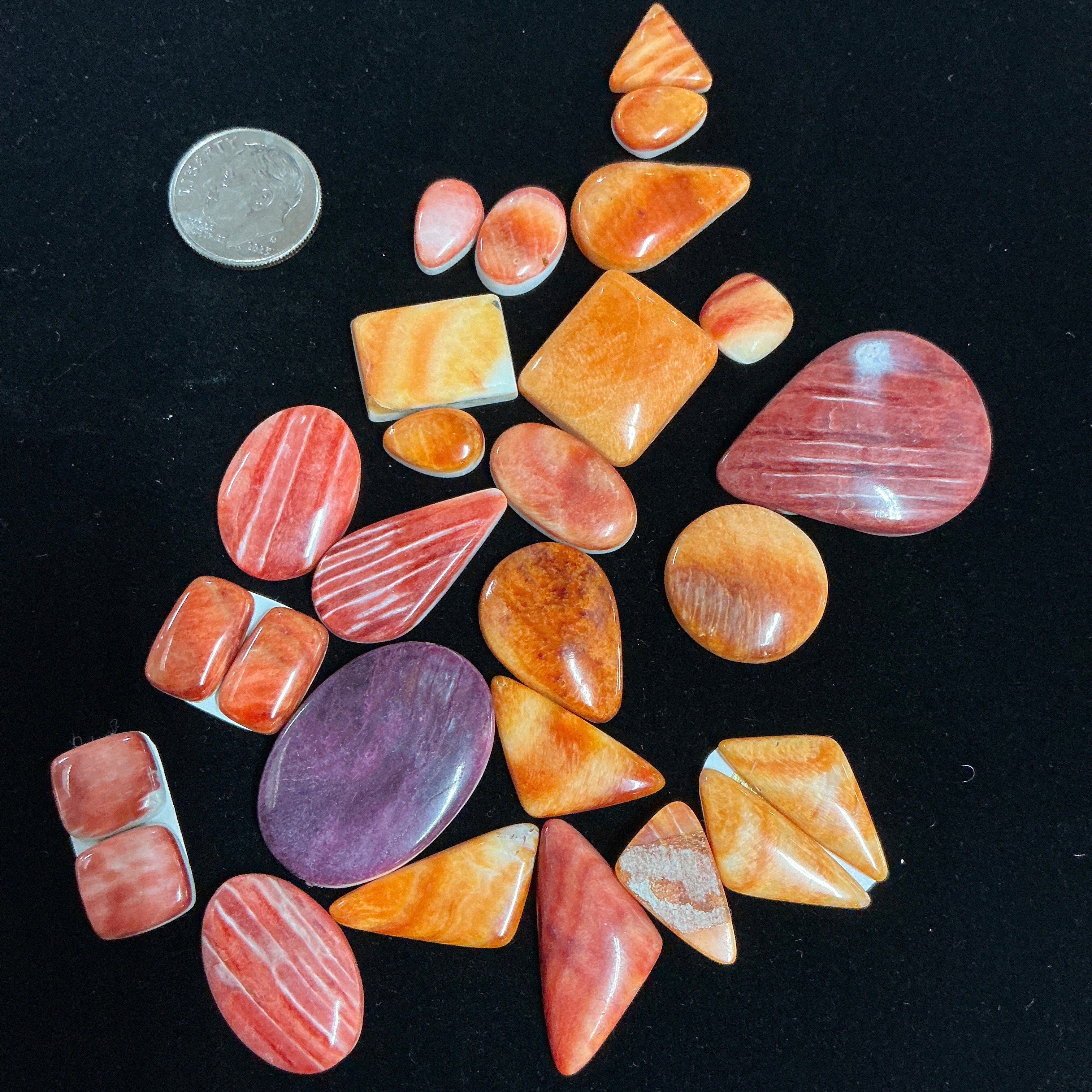 200 CARATS SPINY CABOCHONS. Lot 1. $139.