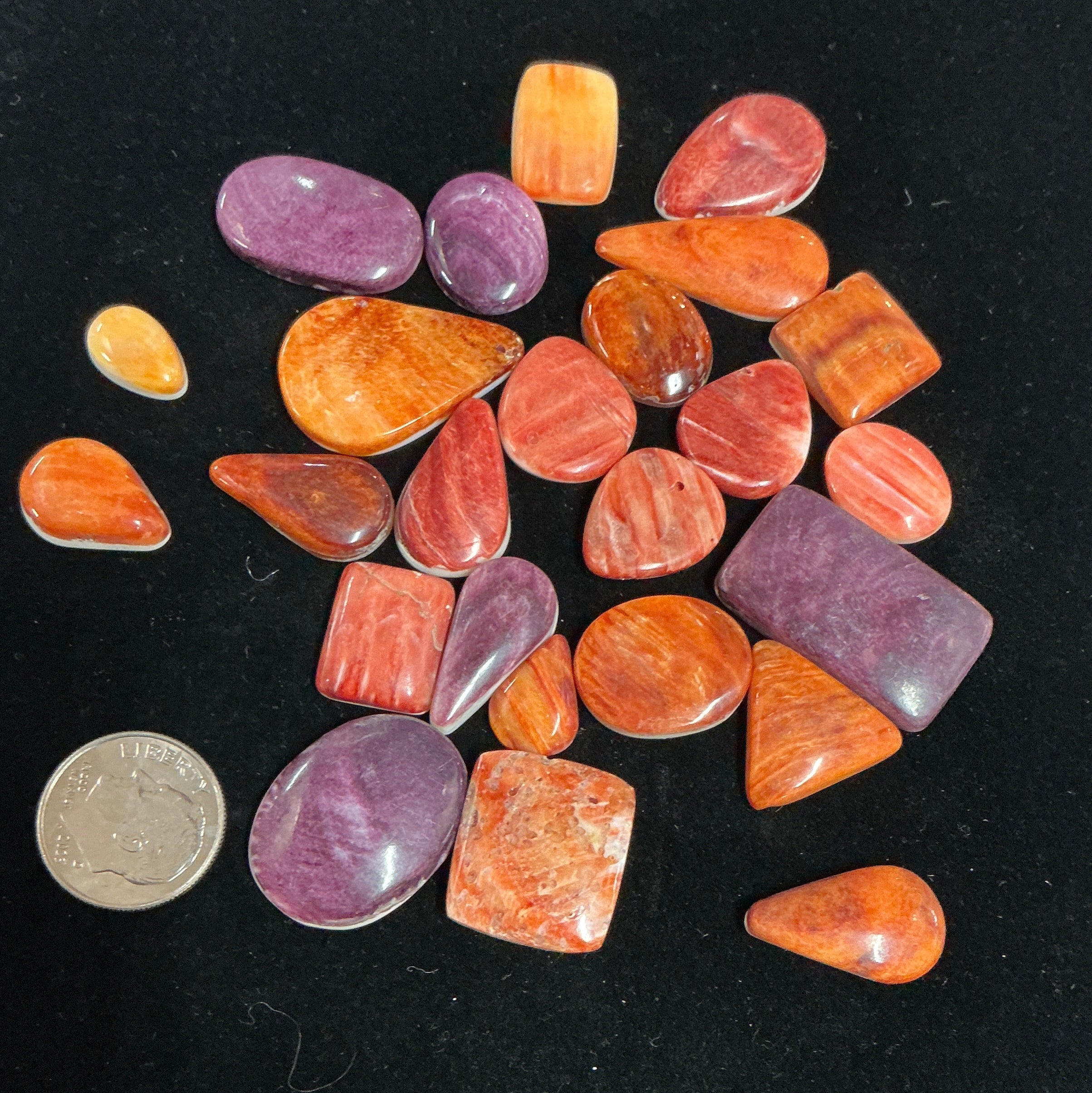 200 CARATS SPINY CABOCHONS. Lot 6. $139.