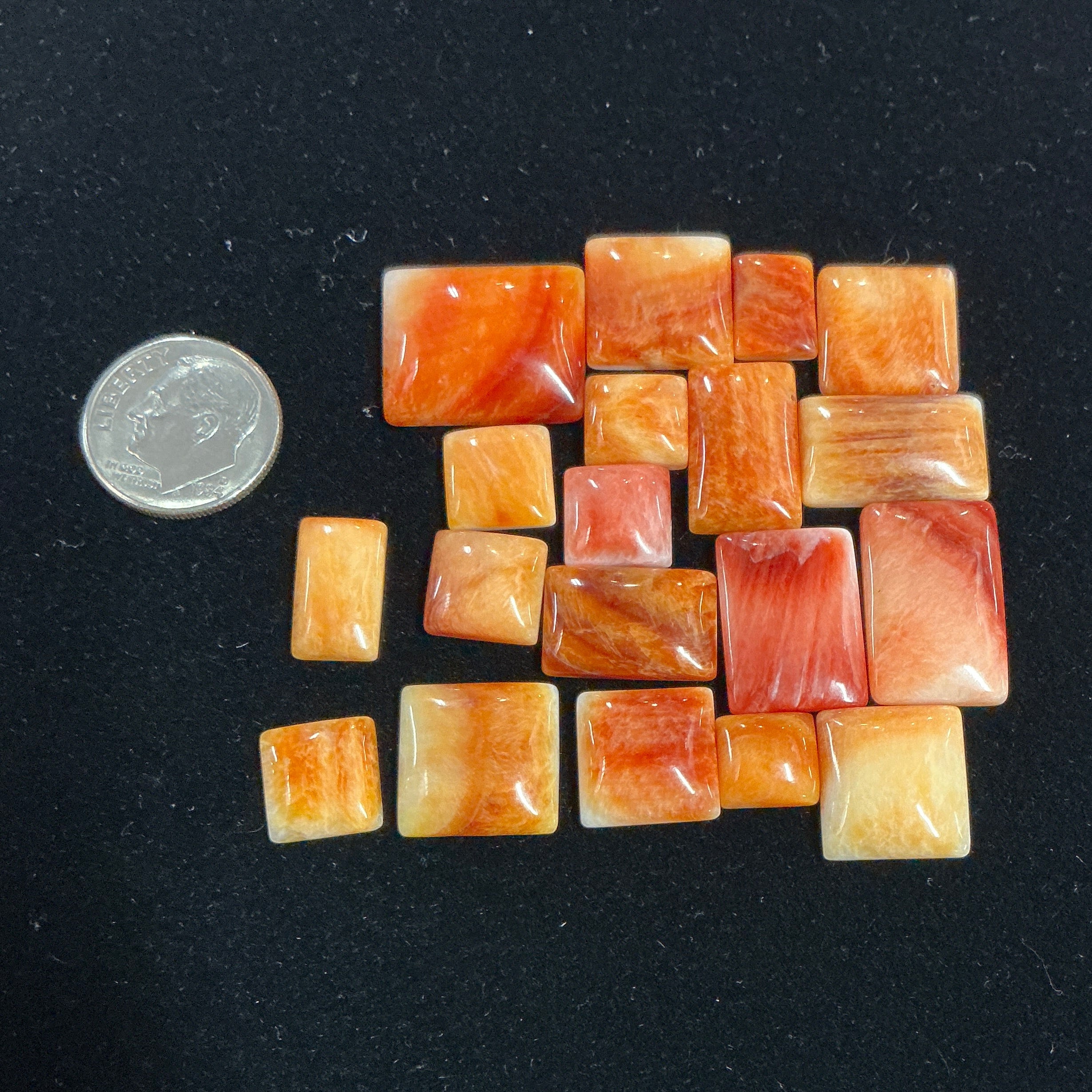 100 CTS SPINY OYSTER CABOCHONS Lot 5
