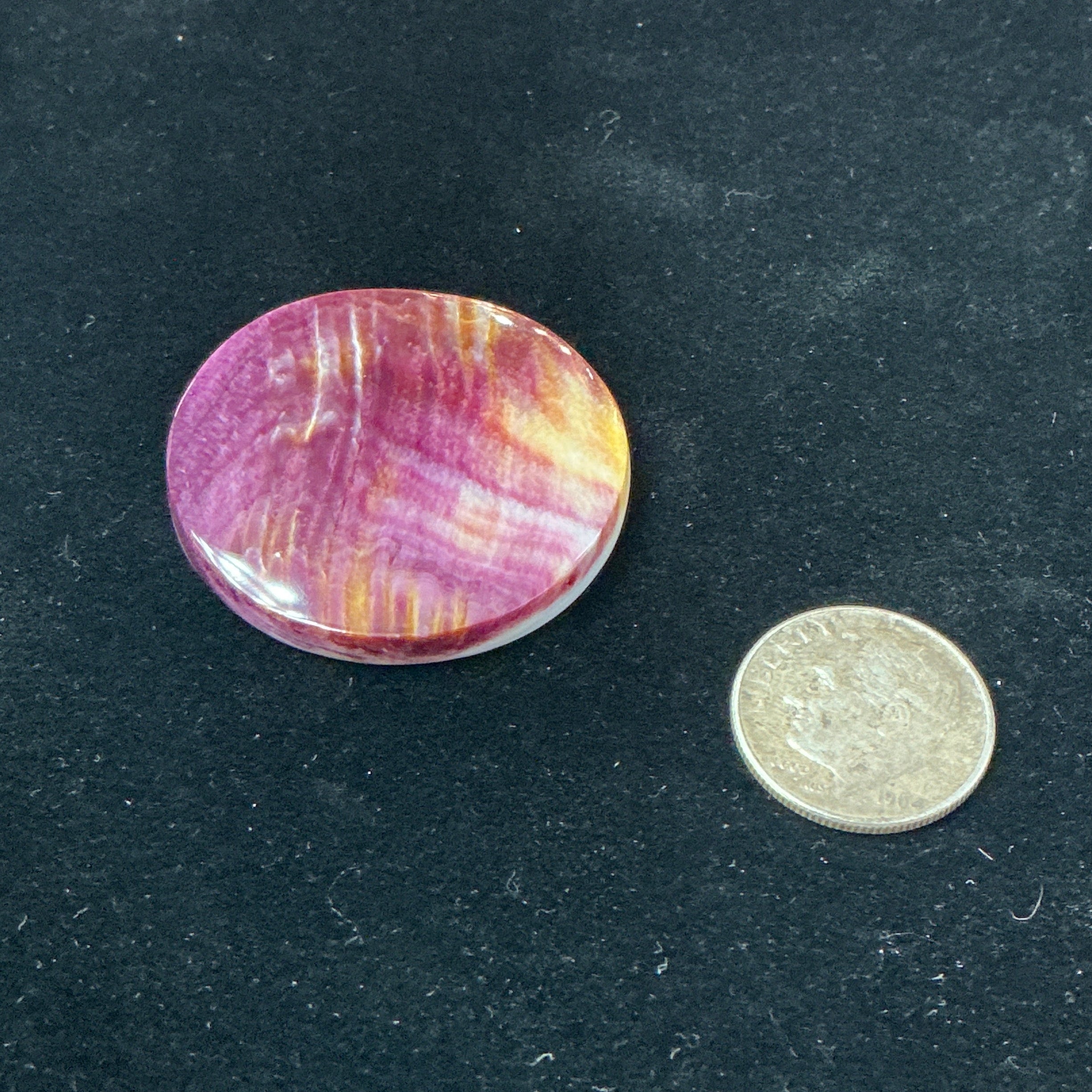 Spiny Collectors Grade A Cabochon. Lot 4. ~47 Carats. $47