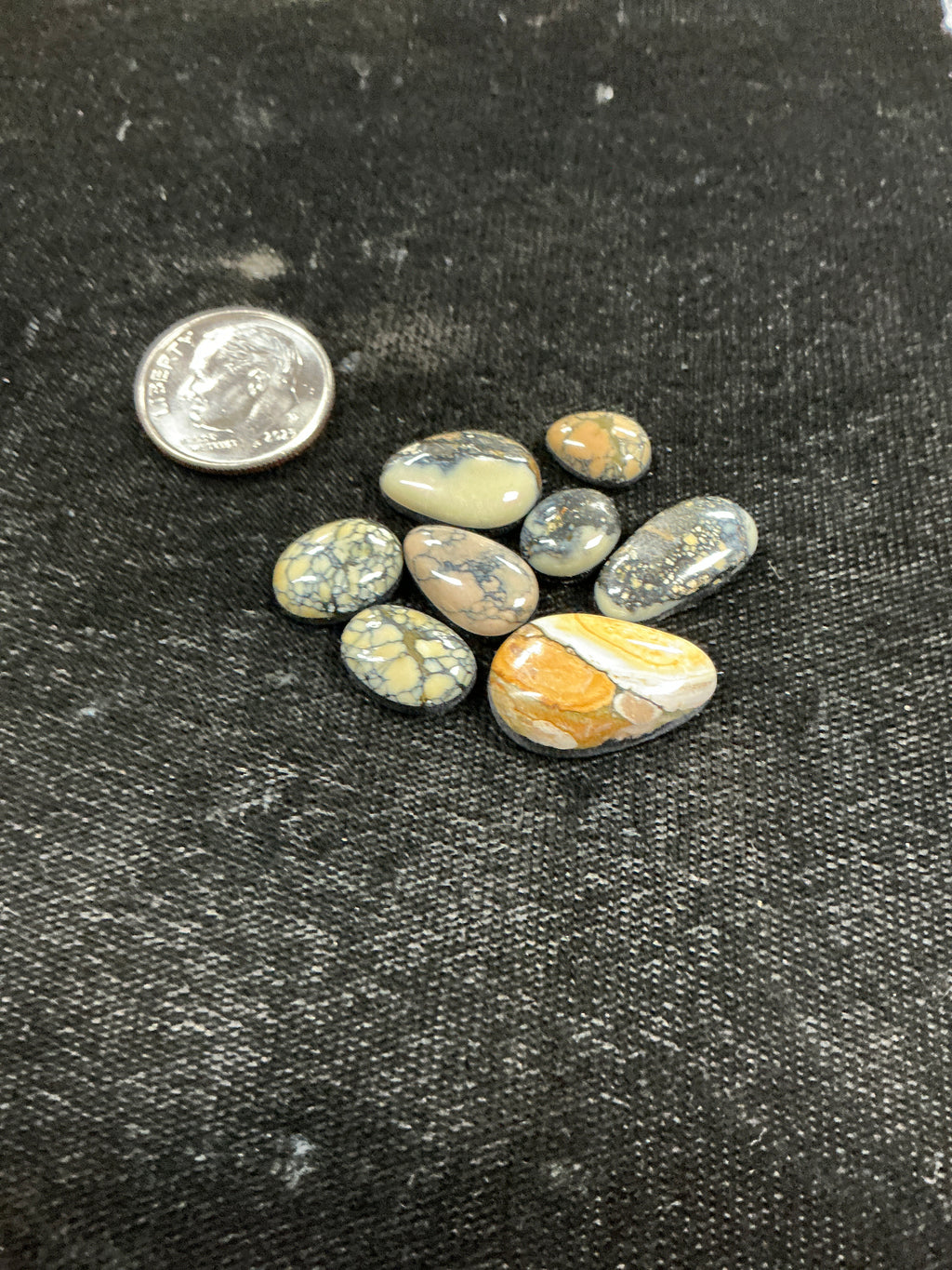 Kazakhstan Variscite Lot 9. 23 Carats. $46.