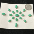 Gem Variscite Cabochon Card. $60