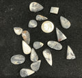 White Buffalo Cabochons Lot. ~113 Carats. $141.25. Lot 7