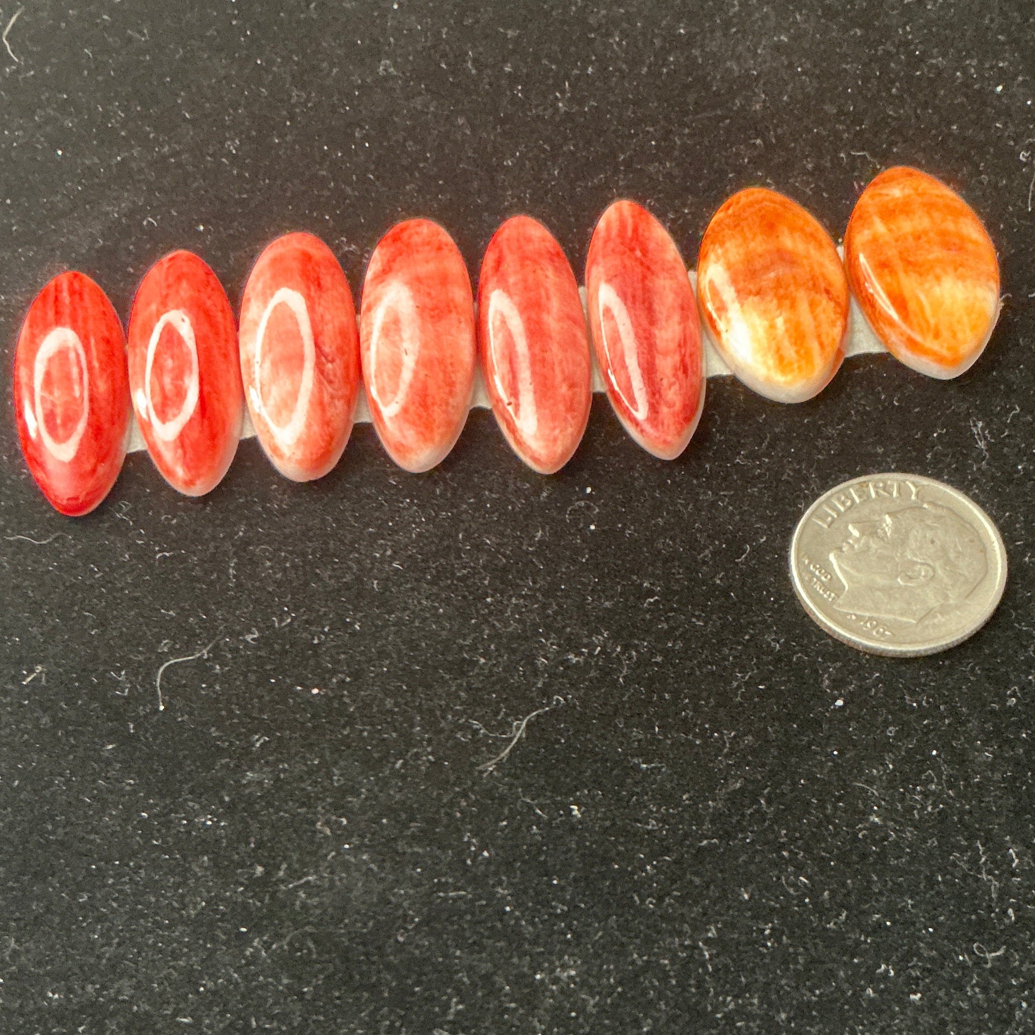 Grade A Spiny Oyster Matching Sets. Lot 10.$88.