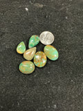 American Turquoise Lot 6. ~50 Carats. $50.