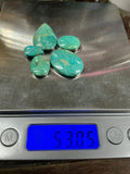 American Turquoise Lot 5. ~50 Carats. $50.