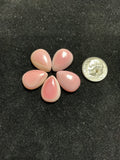 13x18mm Pink Conch Cabochons. Set of 5. $50.