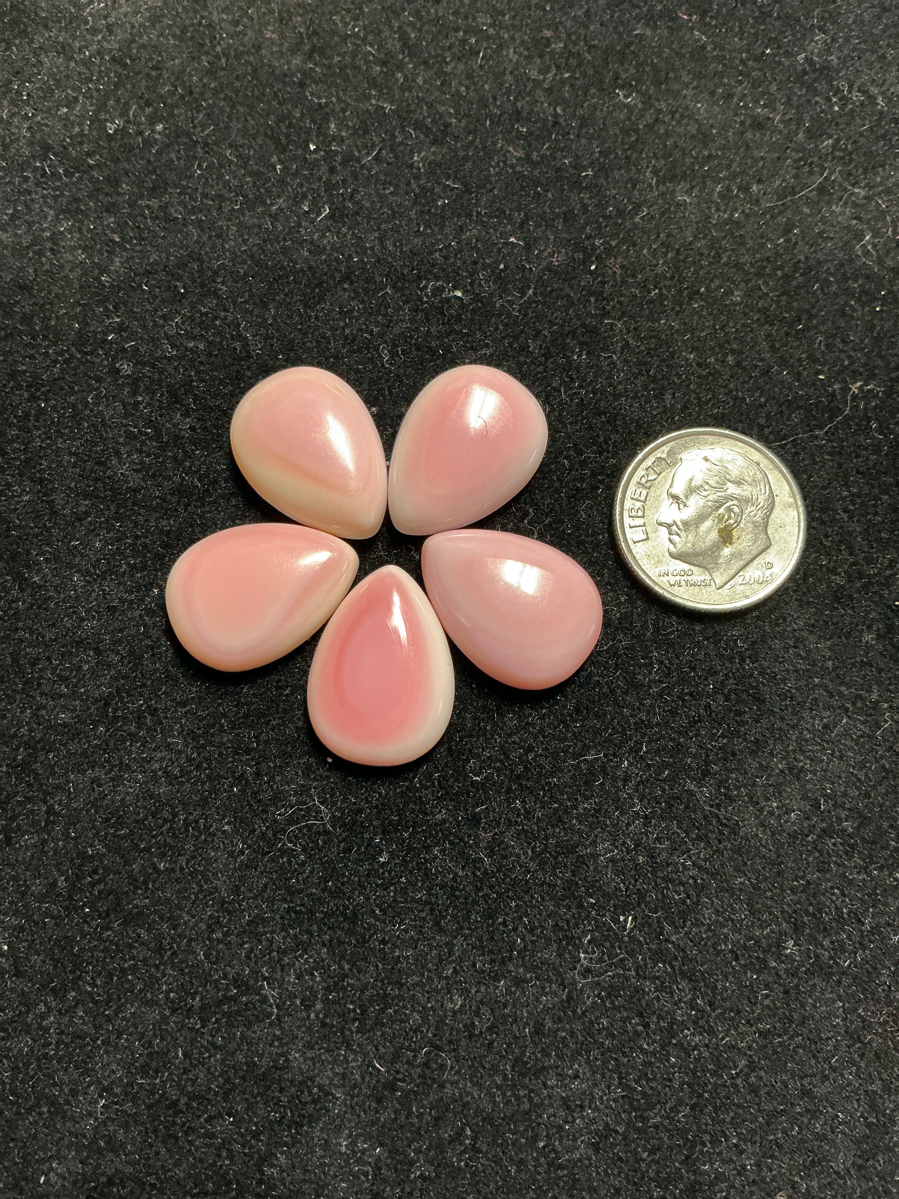 13x18mm Pink Conch Cabochons. Set of 5. $50.
