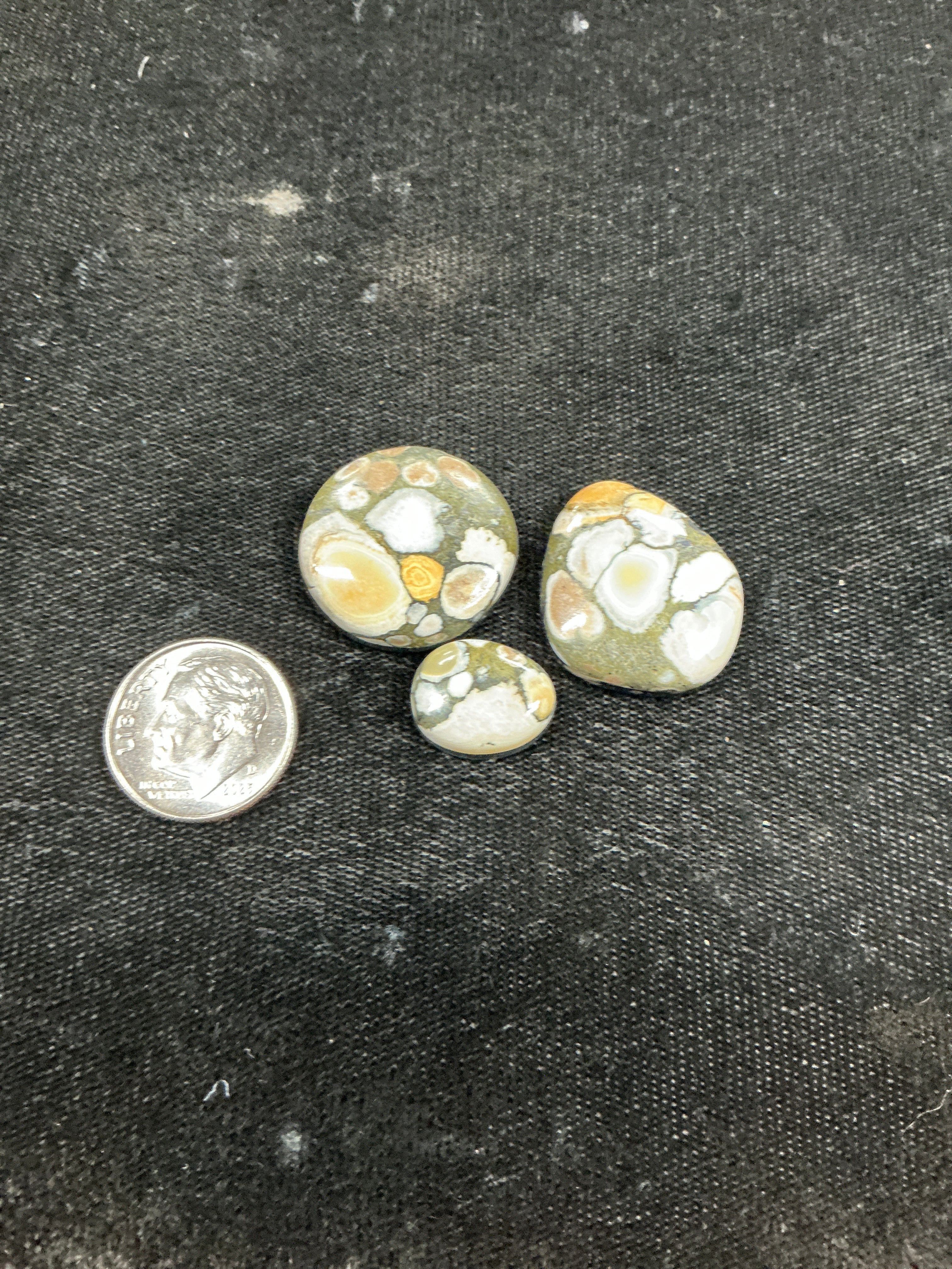 Kazakhstan Variscite Lot 8. 54 Carats. $108.