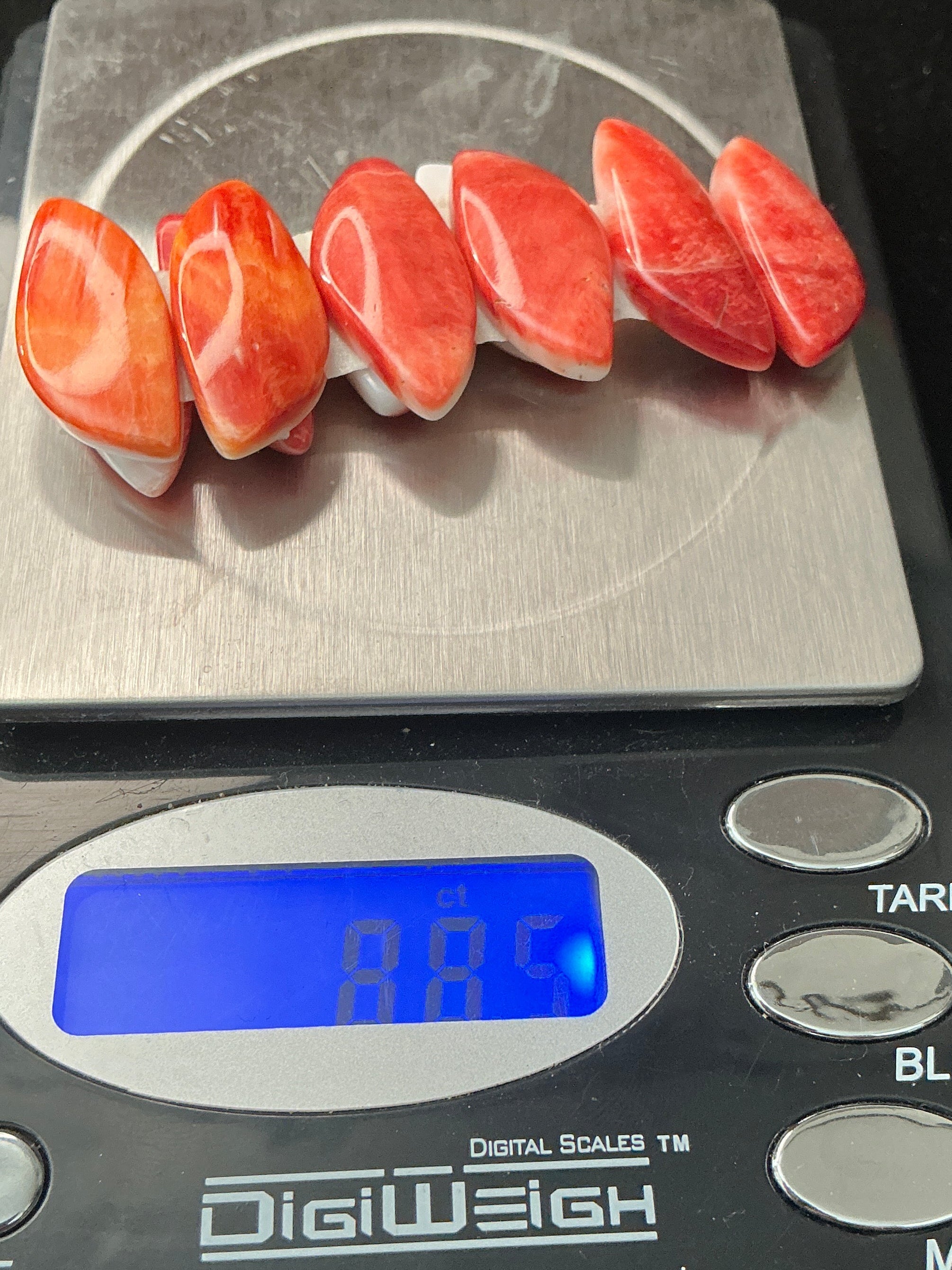 Grade A Spiny Oyster Matching Sets. Lot 4.$88.50.