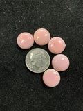 12mm Pink Conch Cabochons. Set of 5. $30.