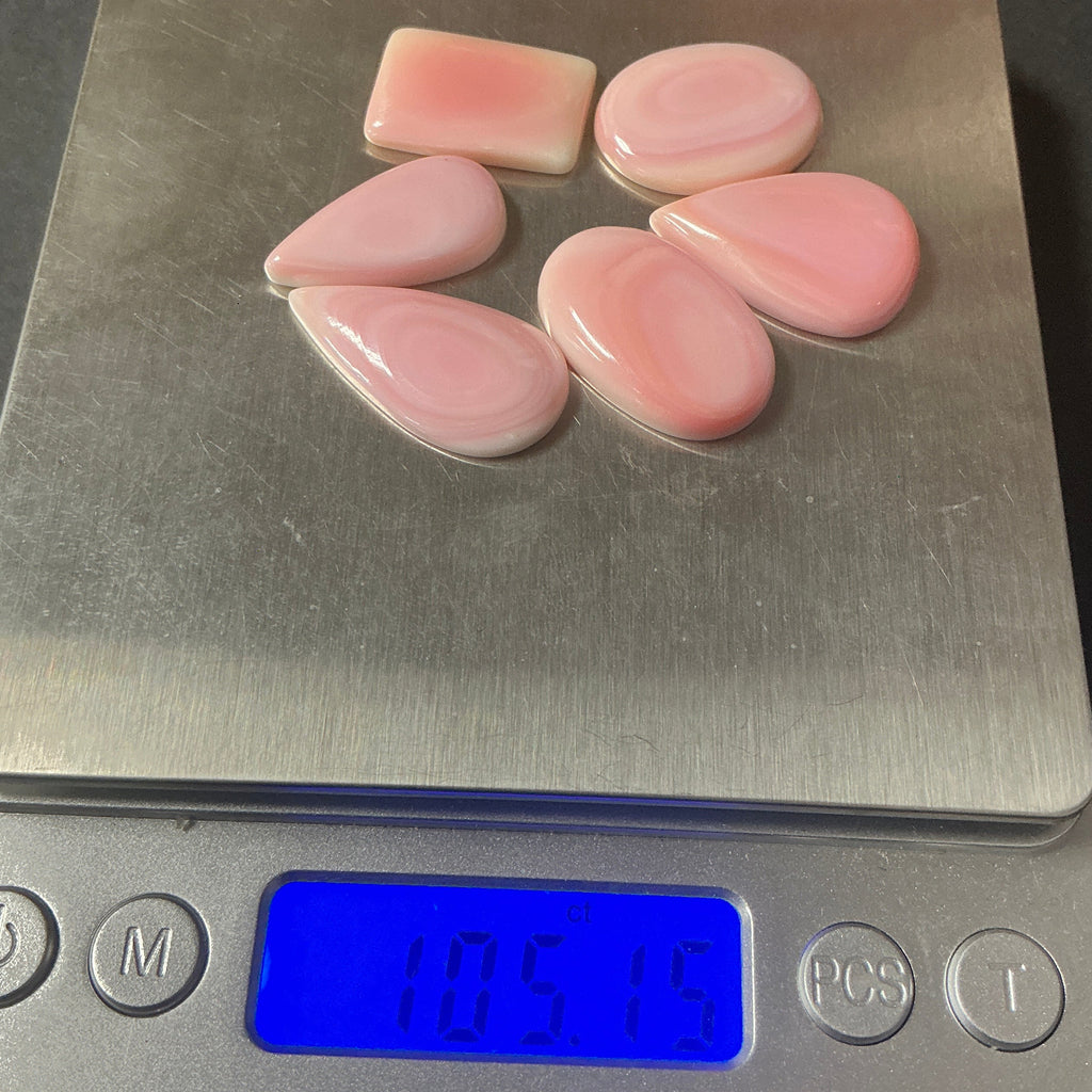Genuine Pink Conch. ~100 cts. $69.