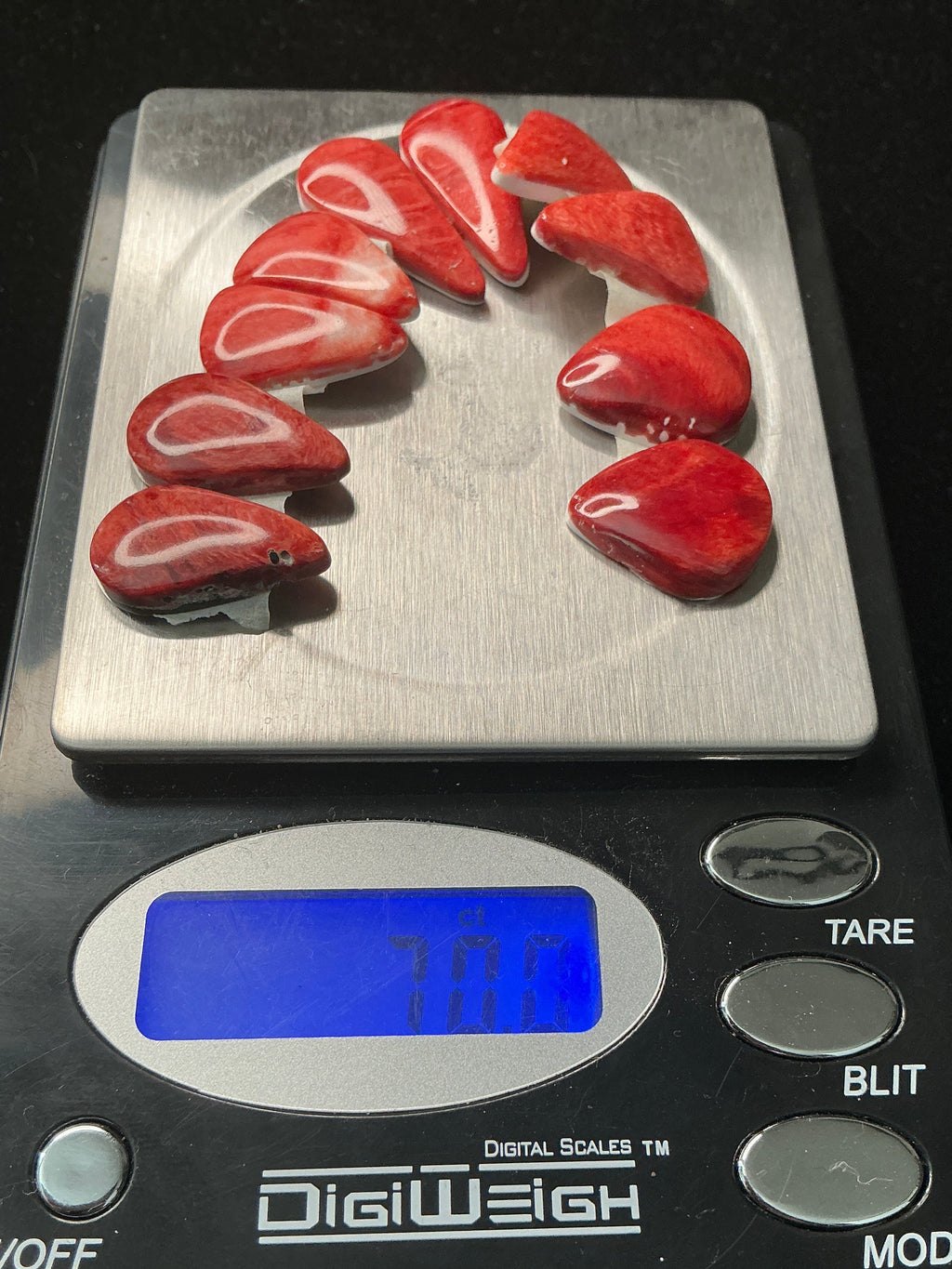 Grade A Spiny Oyster Matching Sets. Lot 1.$70.