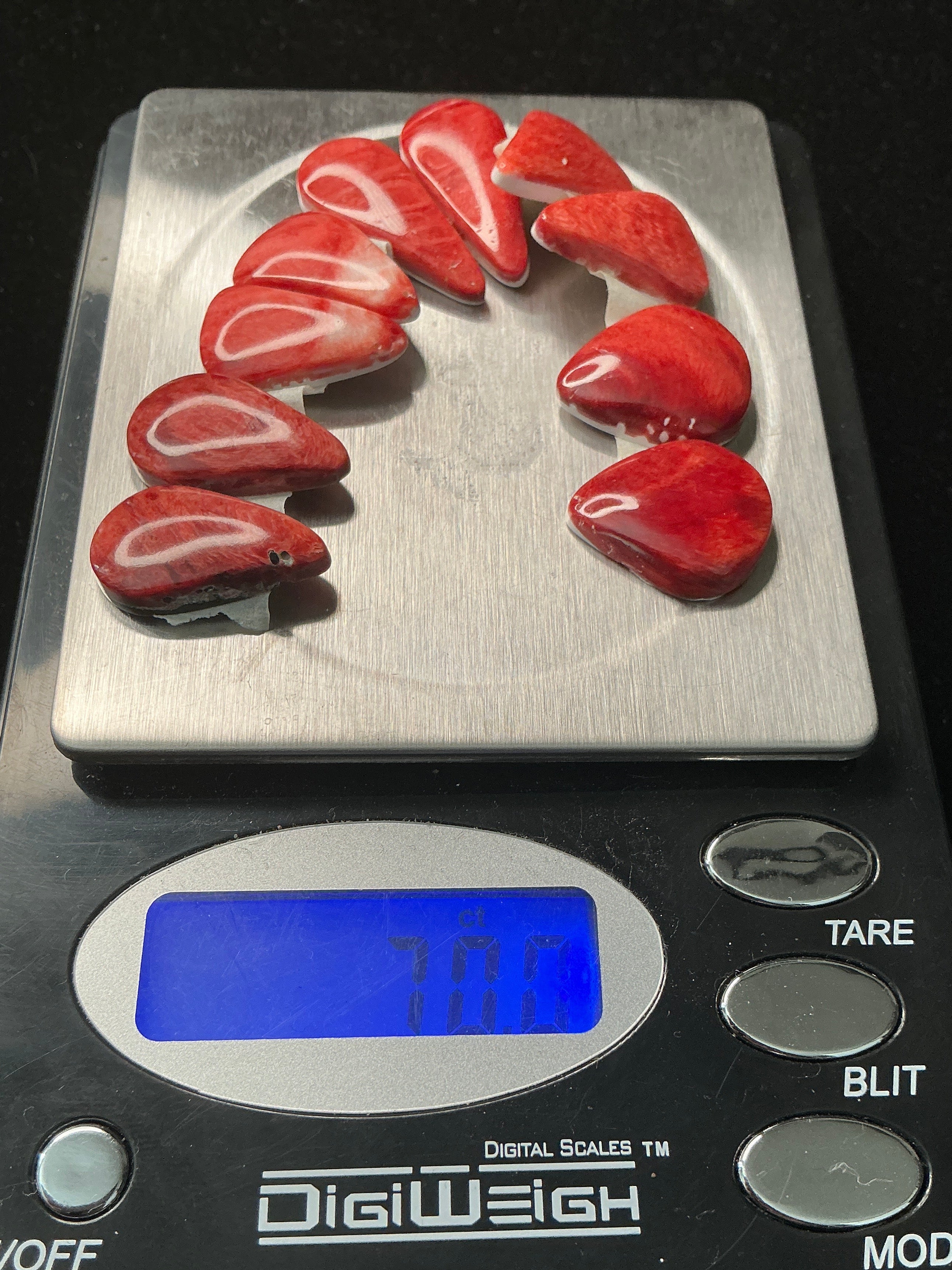 Grade A Spiny Oyster Matching Sets. Lot 1.$70.