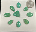 Turquoise Cabochons Card Set. Lot 65.$71.