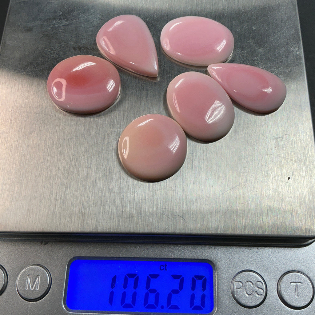 Genuine Pink Conch. ~100 cts. $69.
