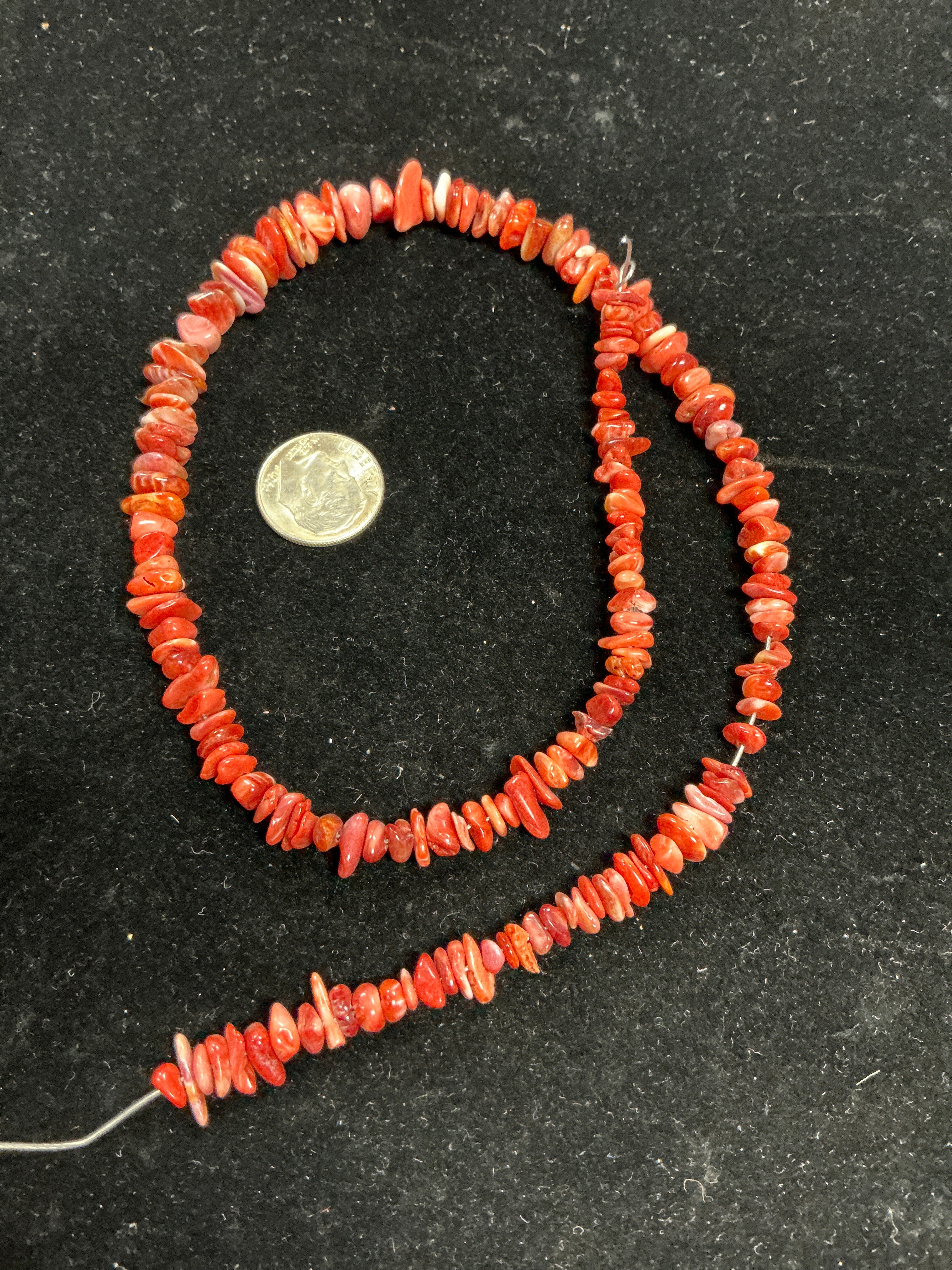 16” Red Spiny Chip Strand