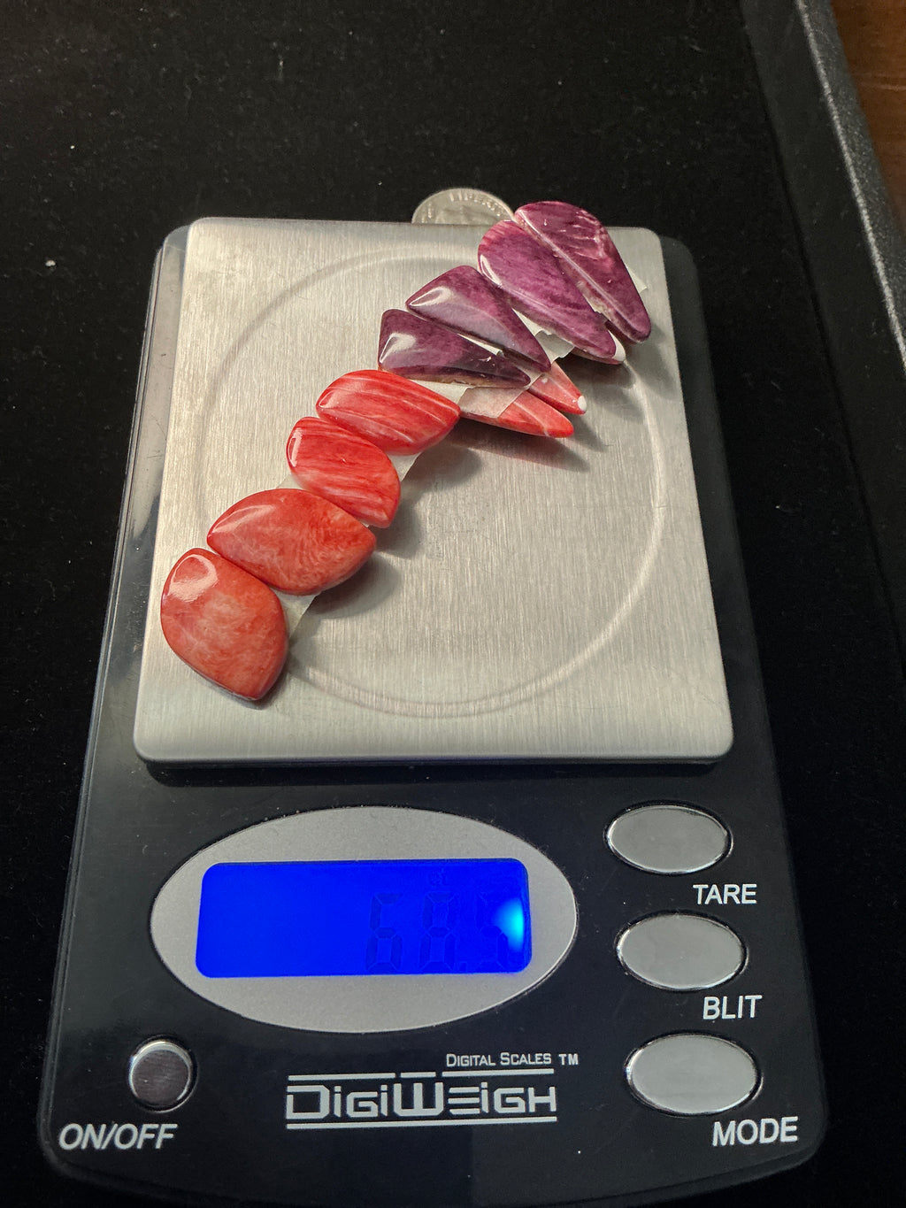 Grade A Spiny Oyster Matching Sets. Lot 6.$68.50