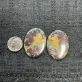 BLACK JACK TURQUOISE CABOCHONS. LOT 2. ~57 Carats