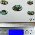 Turquoise Cabochon Card. ~58 Carats. $69.
