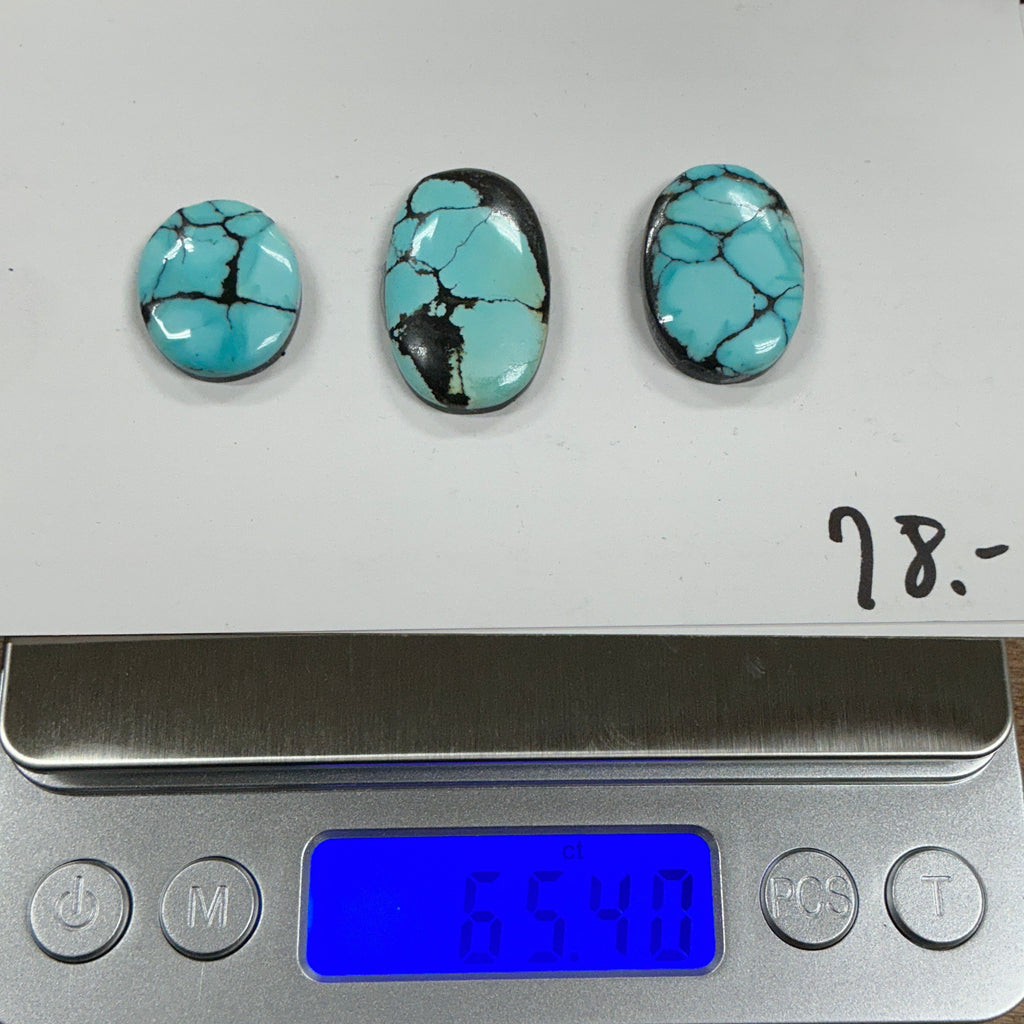 Turquoise Cabochon Card. ~65 Carats. $78.