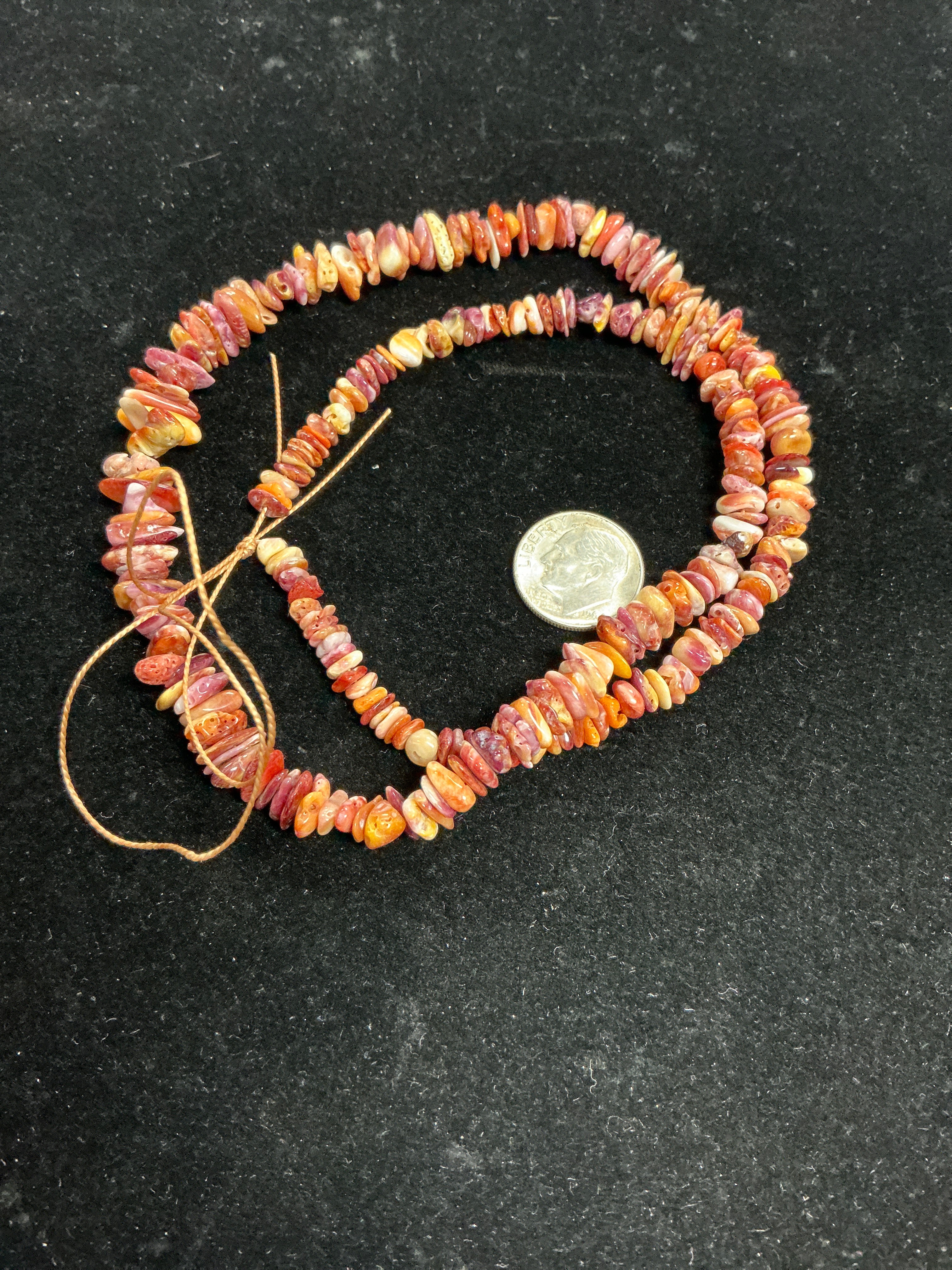 22” Multi Spiny Chip Strand