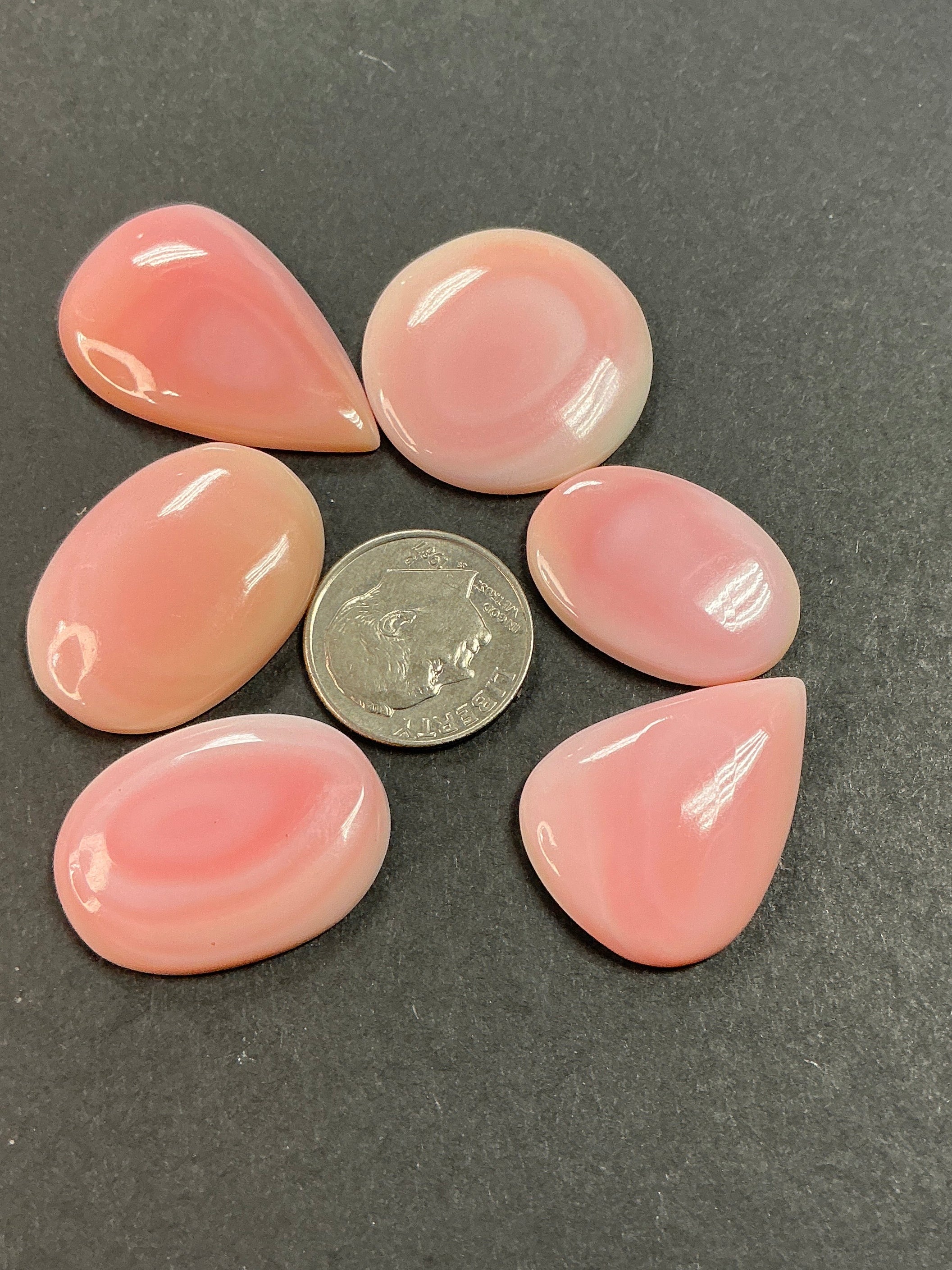 Genuine Pink Conch. ~100 cts. $69.