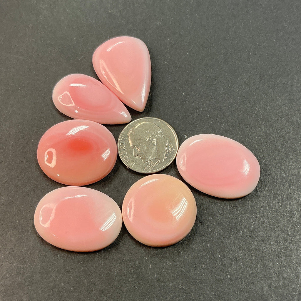 Genuine Pink Conch. ~100 cts. $69.