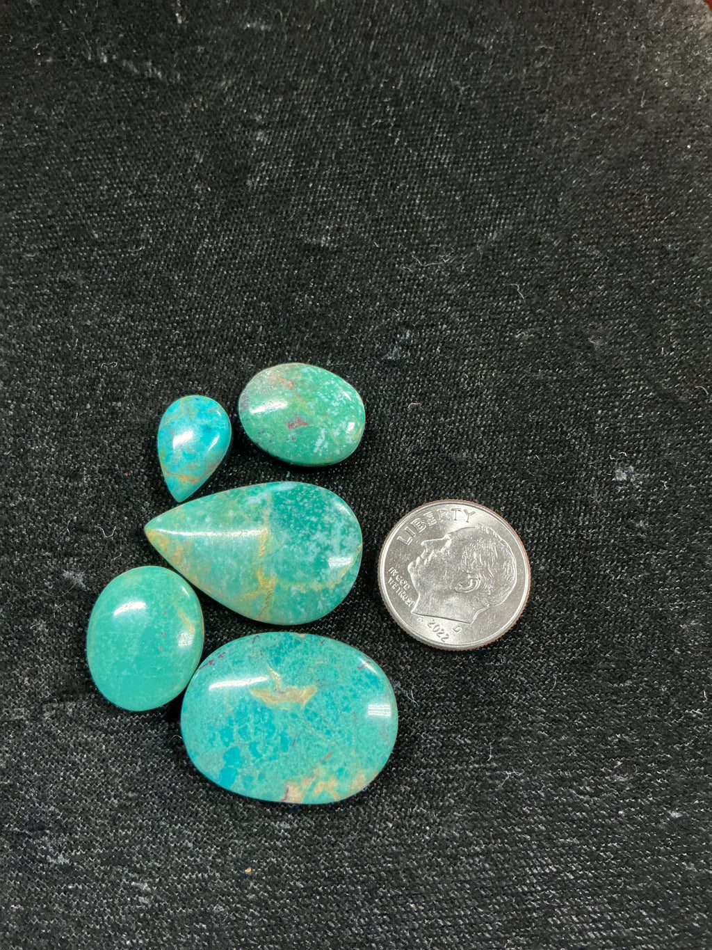 American Turquoise Lot 5. ~50 Carats. $50.