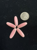 7x21 mm Pink Conch Cabochons. Set of 5. $30.