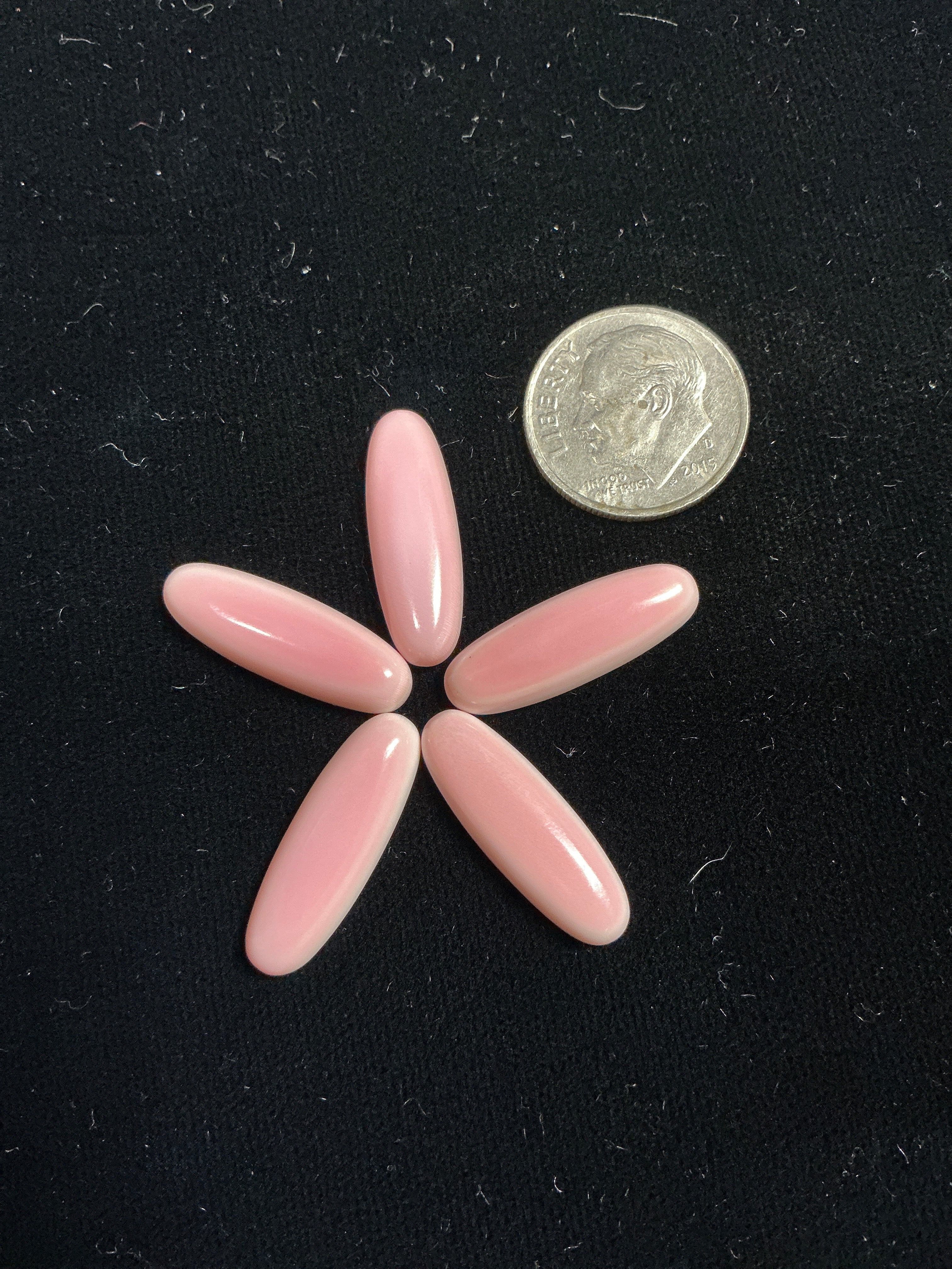 7x21 mm Pink Conch Cabochons. Set of 5. $30.