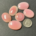 Genuine Pink Conch. ~100 cts. $69.