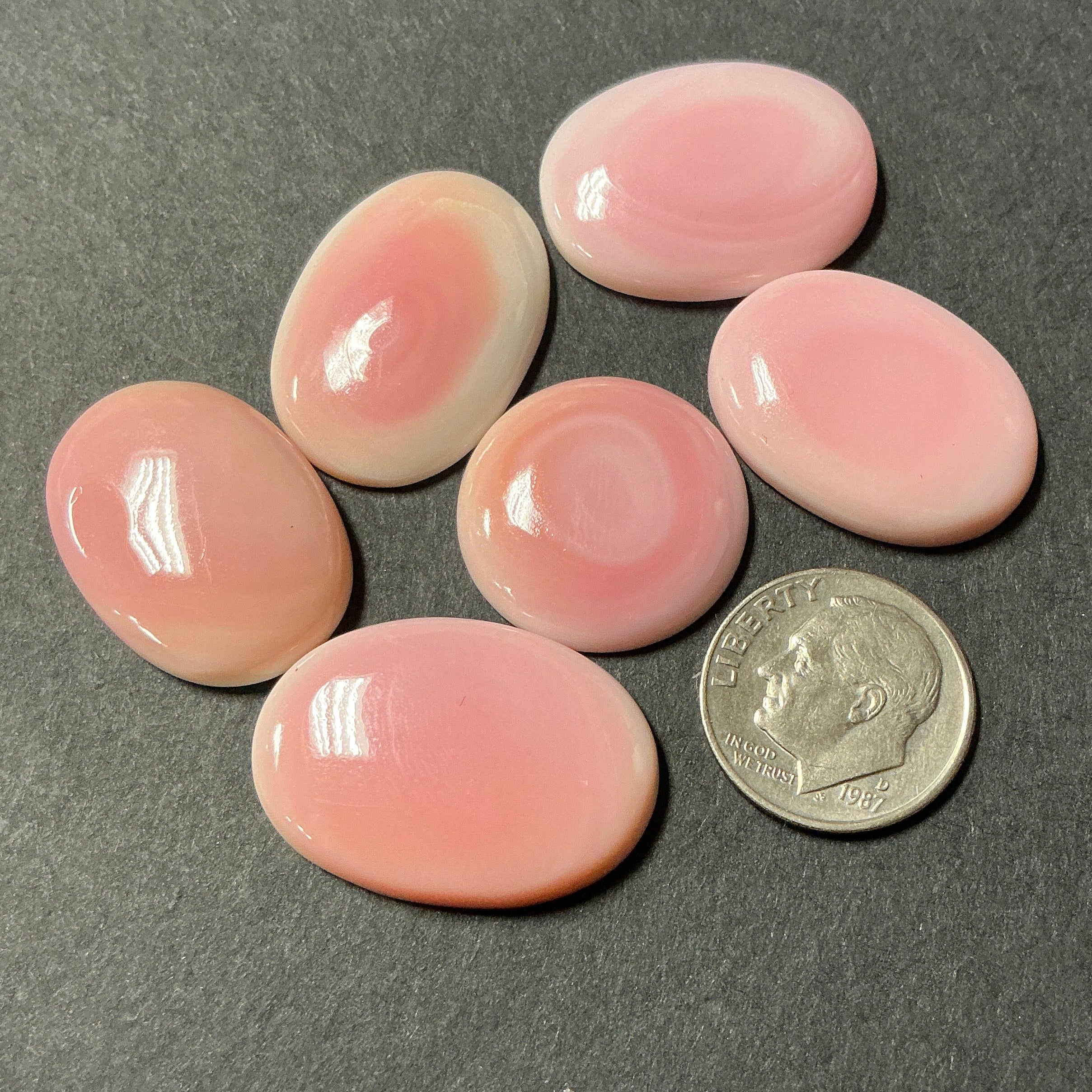 Genuine Pink Conch. ~100 cts. $69.