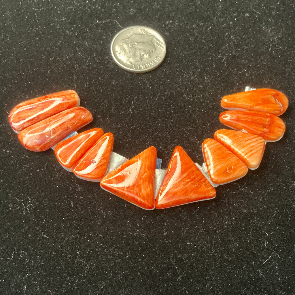 Grade A Spiny Oyster Matching Sets. Lot 3.$55.50