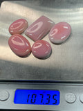 Genuine Pink Conch. ~100 cts. $69.