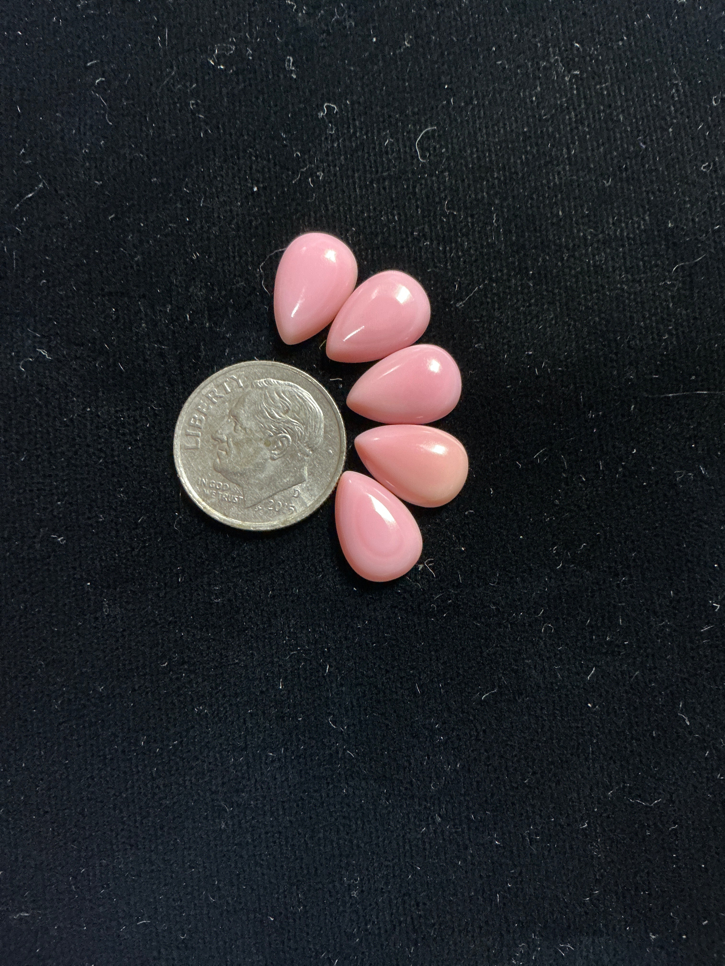 8x12mm Pink Conch Cabochons. Set of 5. $17.50.