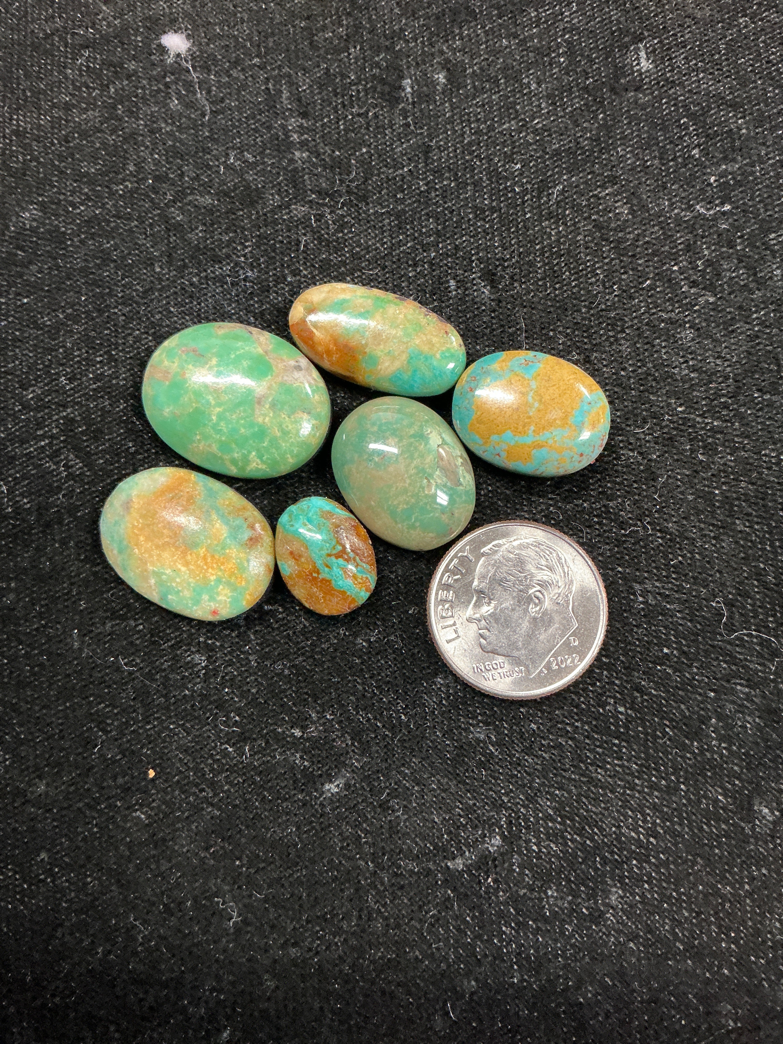 American Turquoise Lot 7. ~50 Carats. $50.