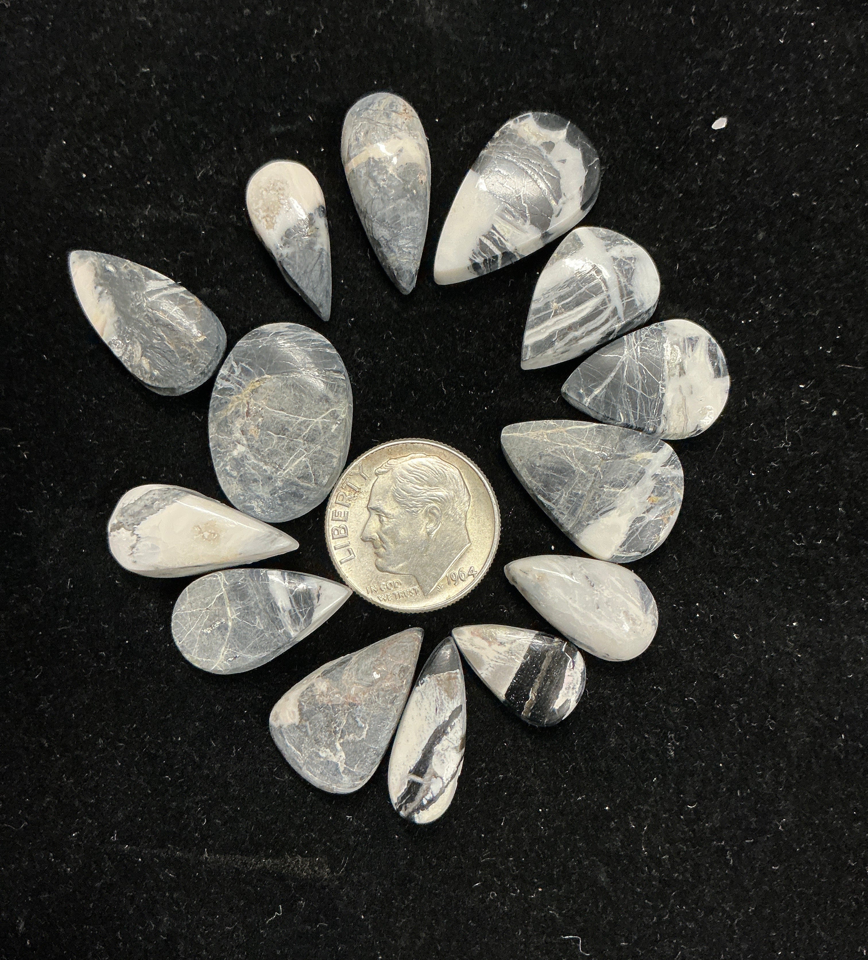 White Buffalo Cabochons Lot. ~ 98 Carats. $122.50. Lot 8