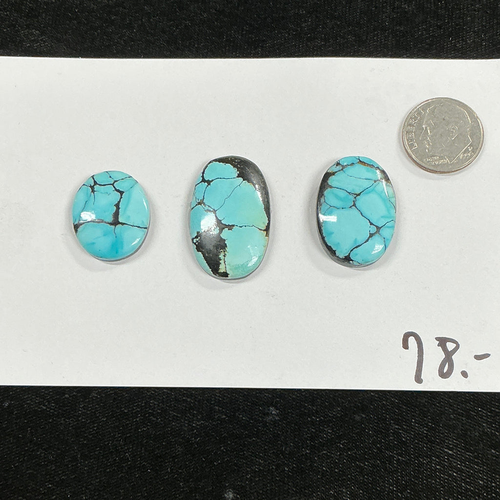 Turquoise Cabochon Card. ~65 Carats. $78.