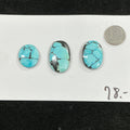 Turquoise Cabochon Card. ~65 Carats. $78.