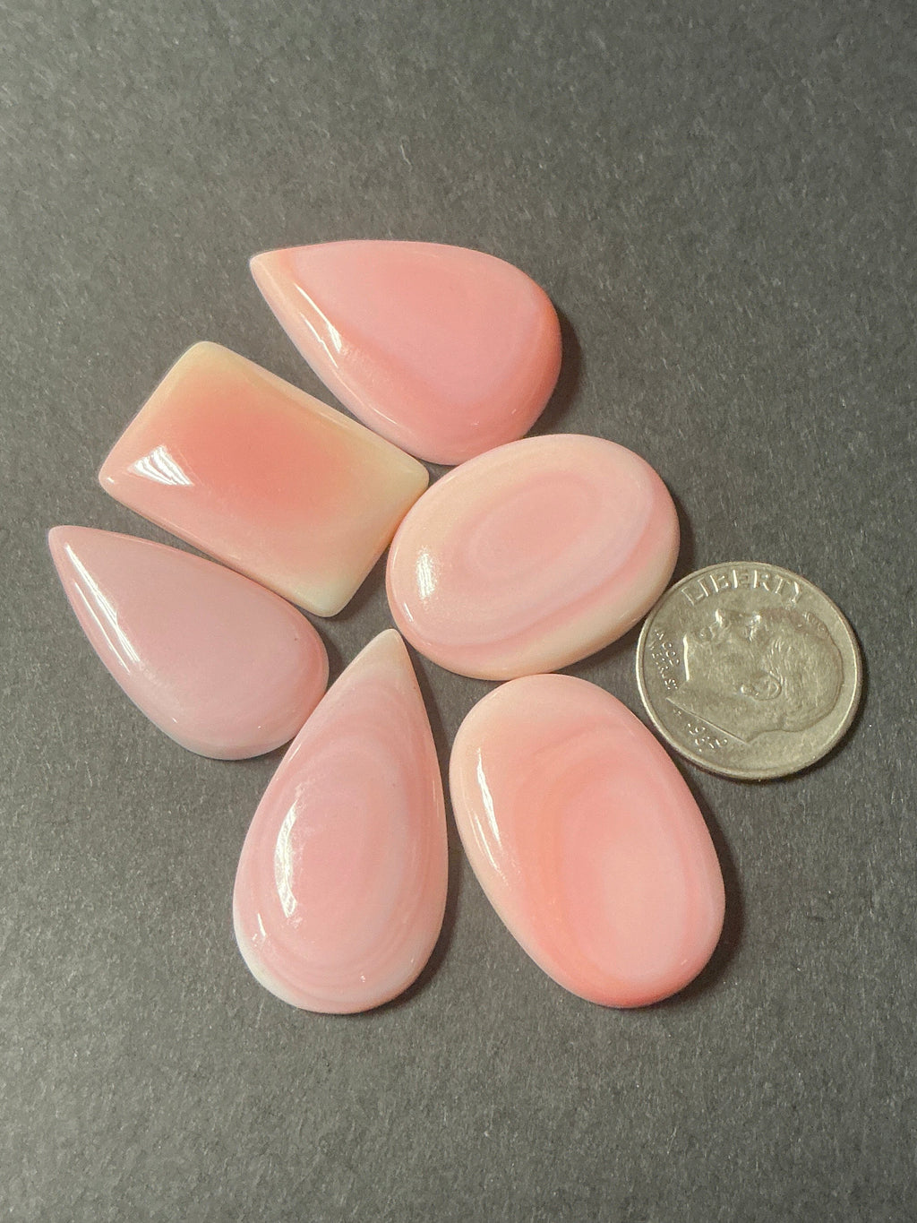 Genuine Pink Conch. ~100 cts. $69.