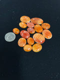 100 CTS SPINY OYSTER CABOCHONS Lot 6