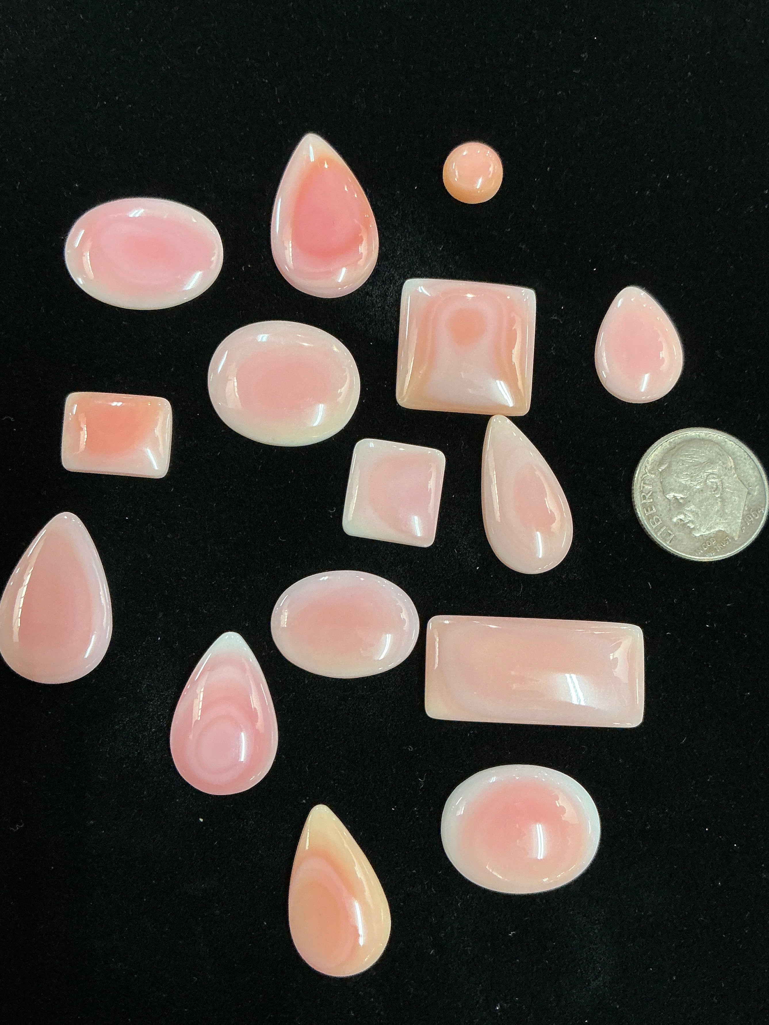 Pink Conch Cabochons ~100 Carats. Lot 1. $79