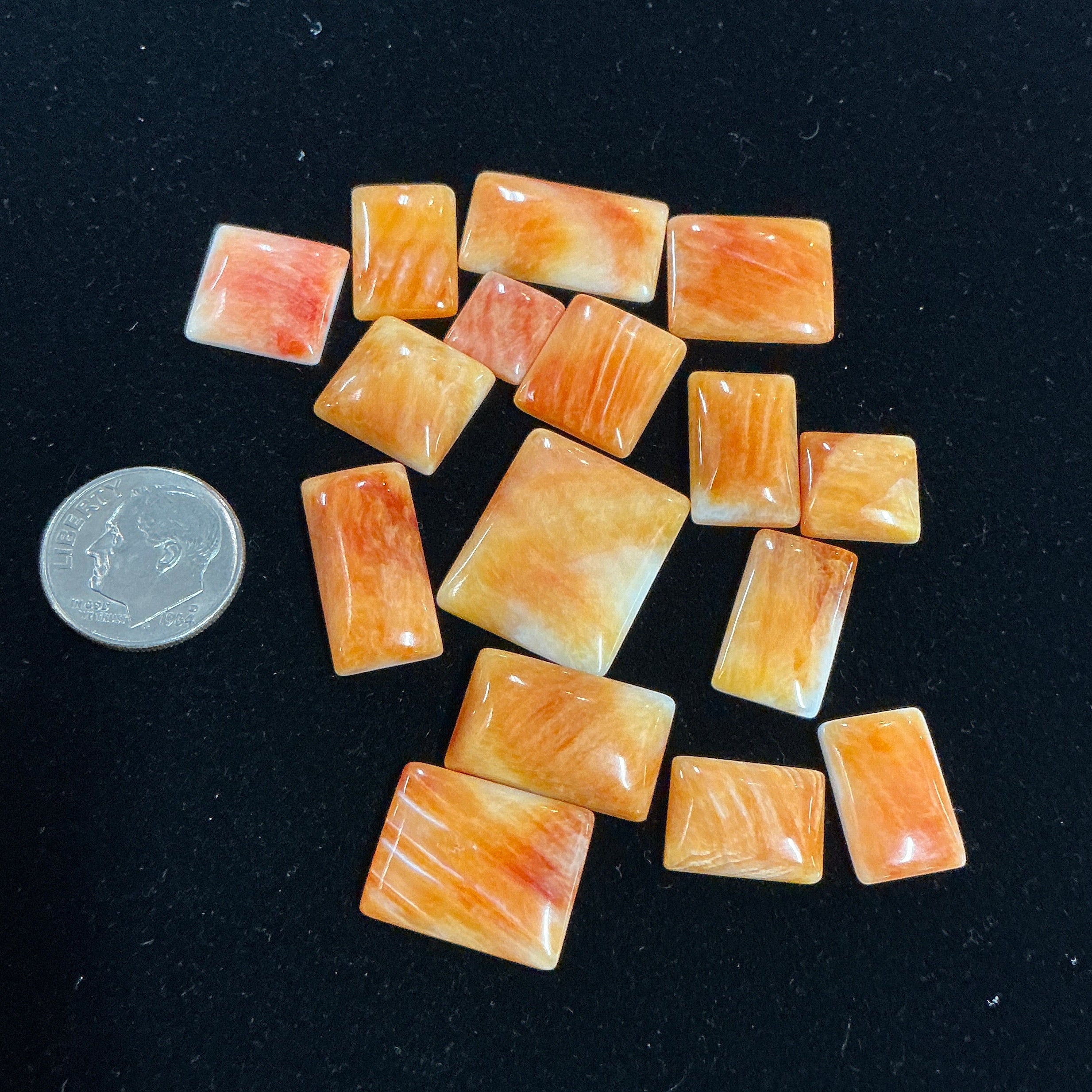 100 CTS SPINY OYSTER CABOCHONS Lot 7