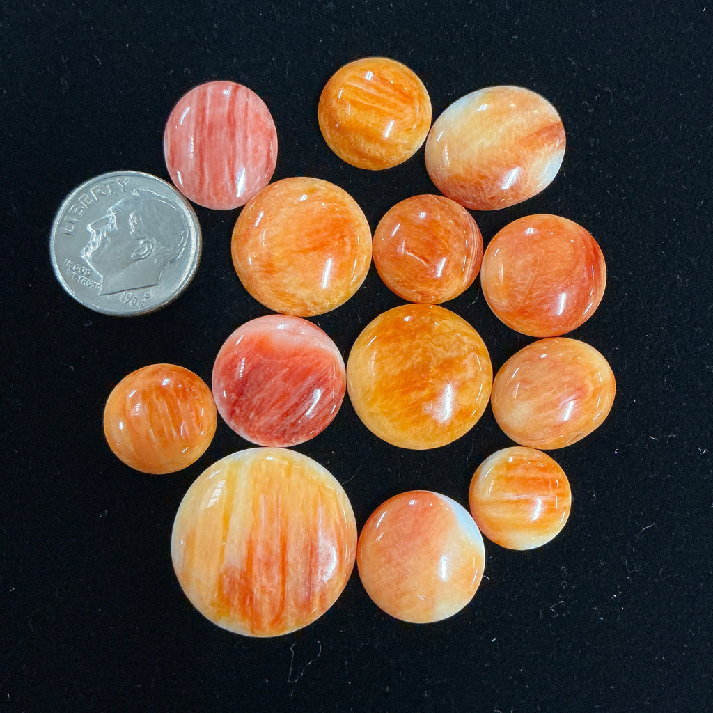 100 CTS SPINY OYSTER CABOCHONS Lot 9