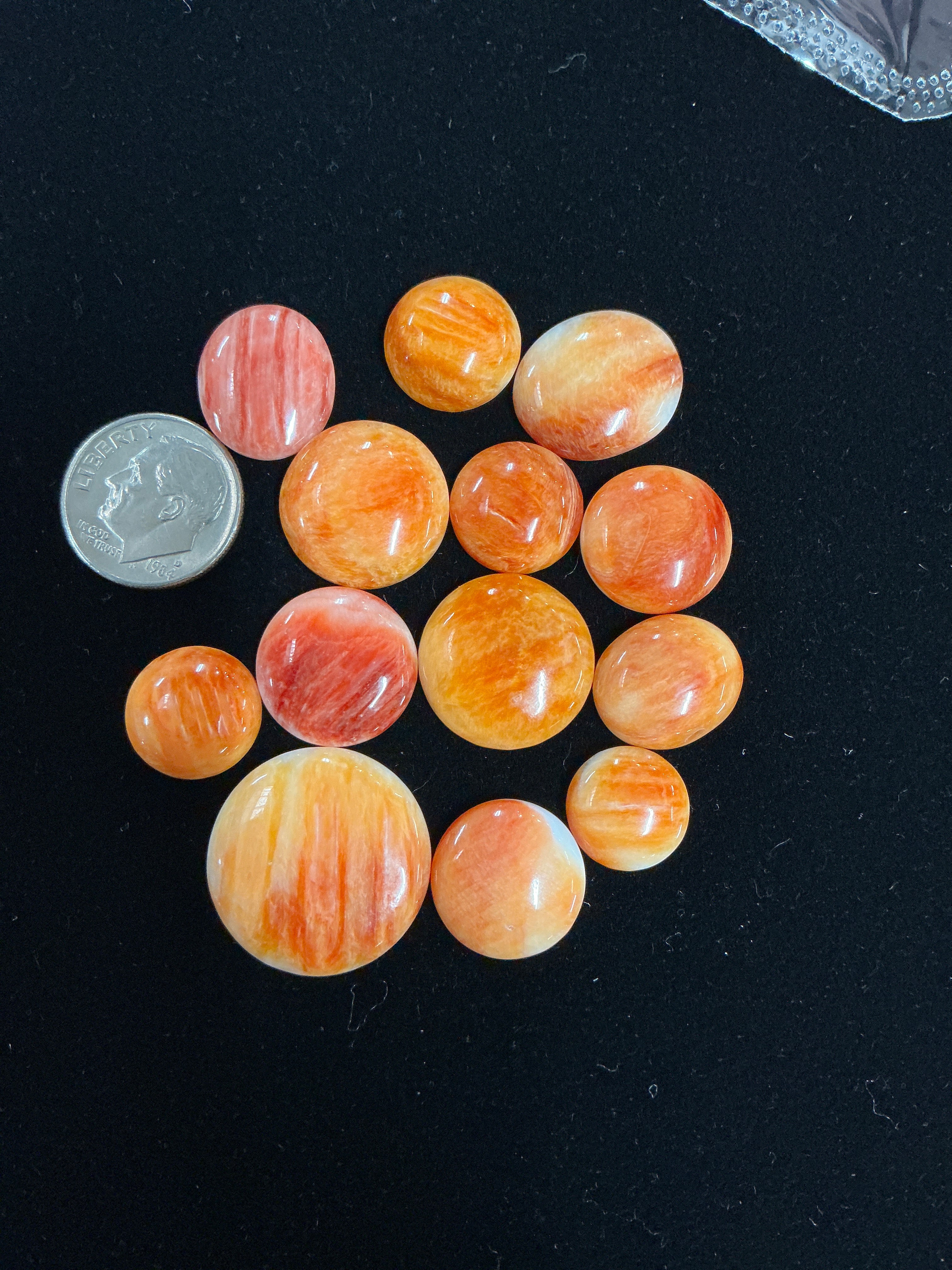 100 CTS SPINY OYSTER CABOCHONS Lot 9