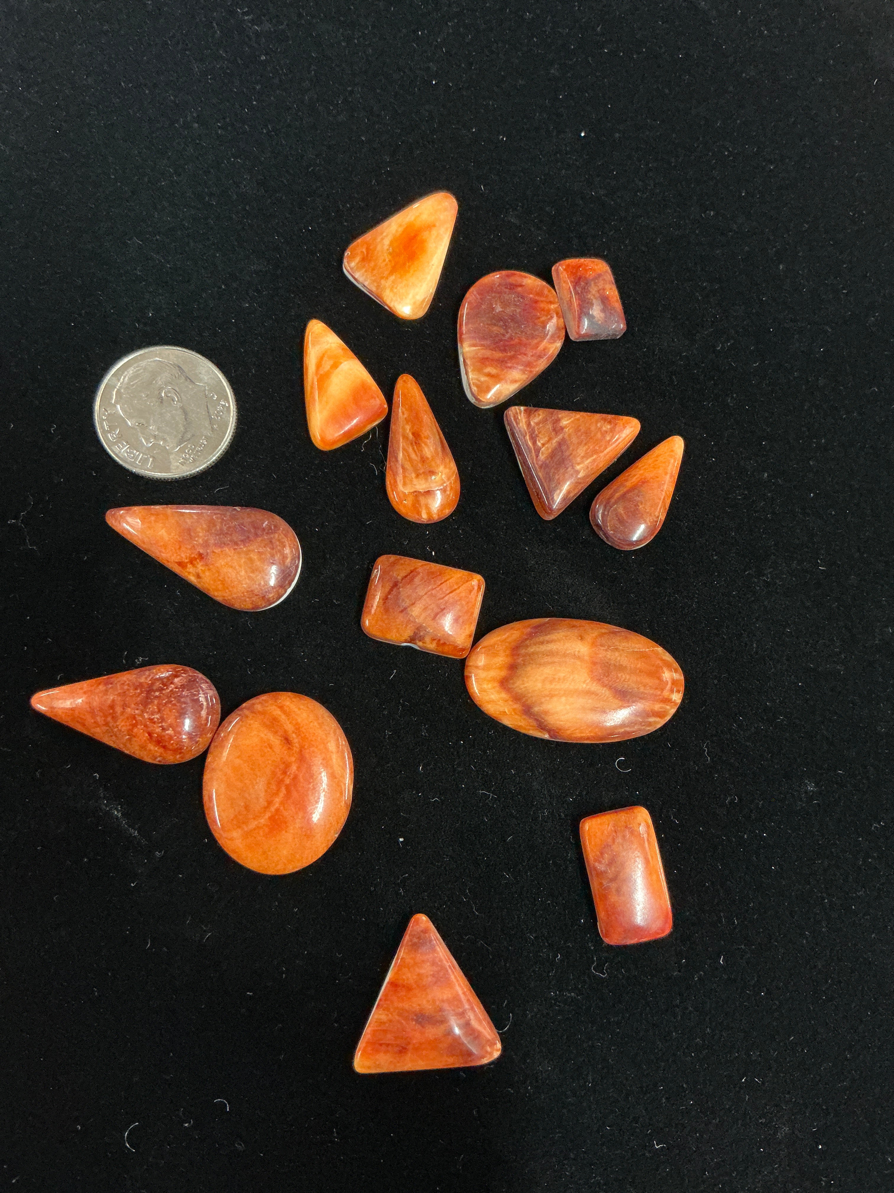 100 CARATS SPINY CABOCHONS LOT. LOT 10. $75.00